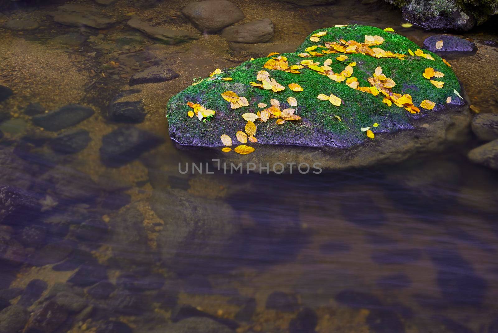 Autumnal view of a flowing brook with rocks