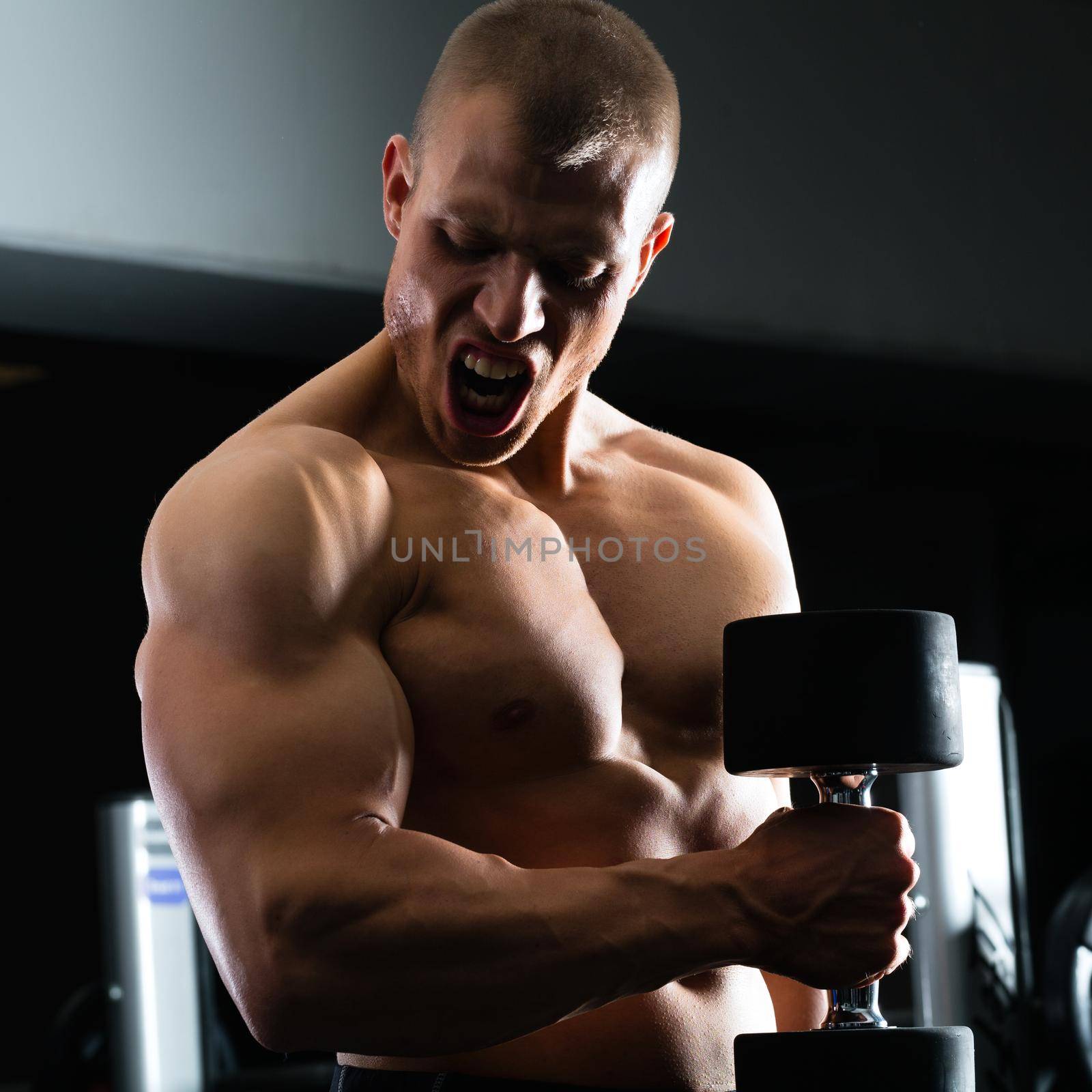 Strong man - bodybuilder with dumbbells in a gym, exercising with a dumbbell