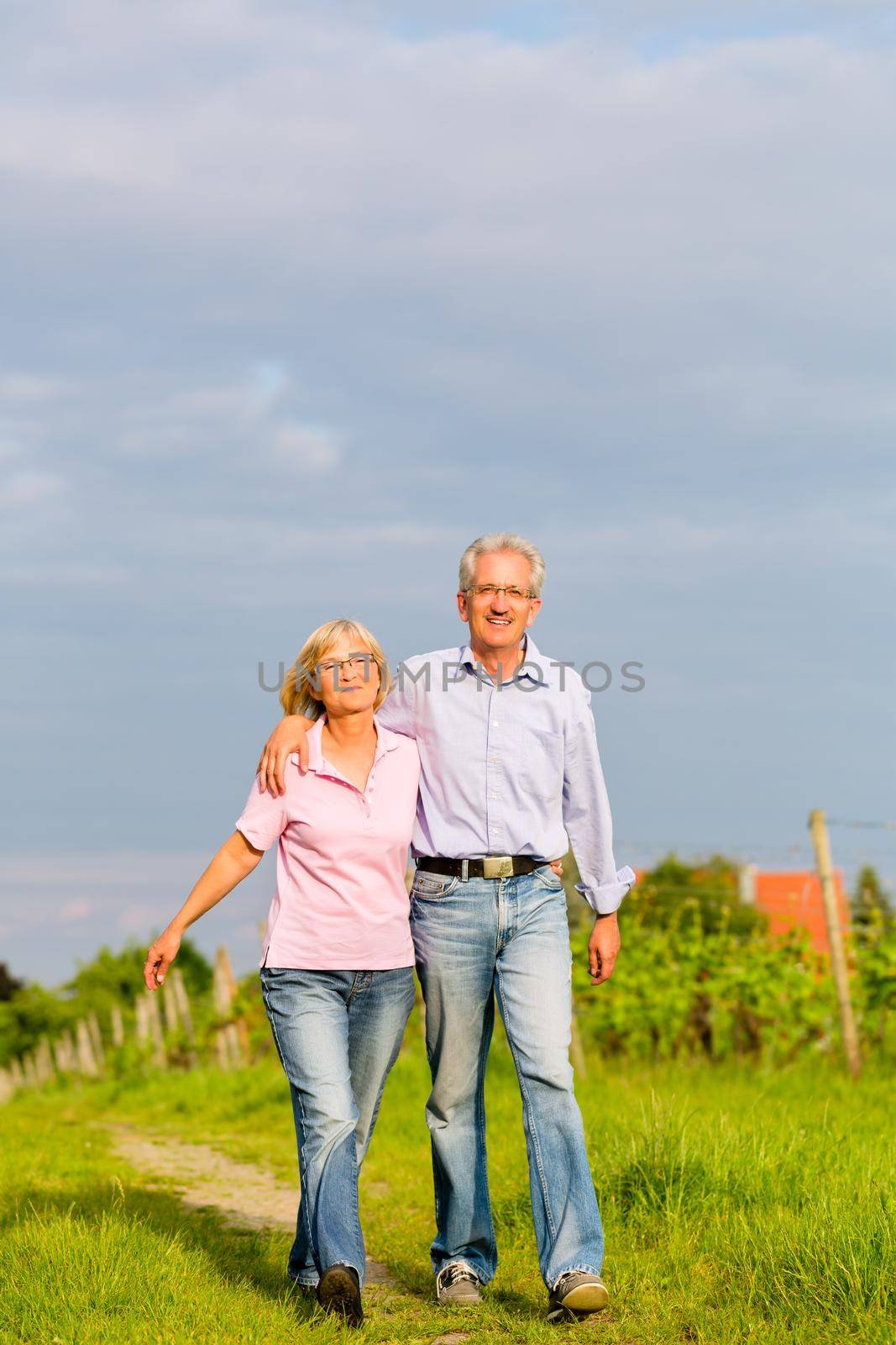 Man and woman, senior couple, having a walk in summer or outdoors in the vineyard