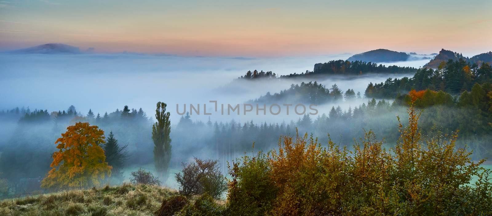 Foggy morning in the landscape by Pavlasek