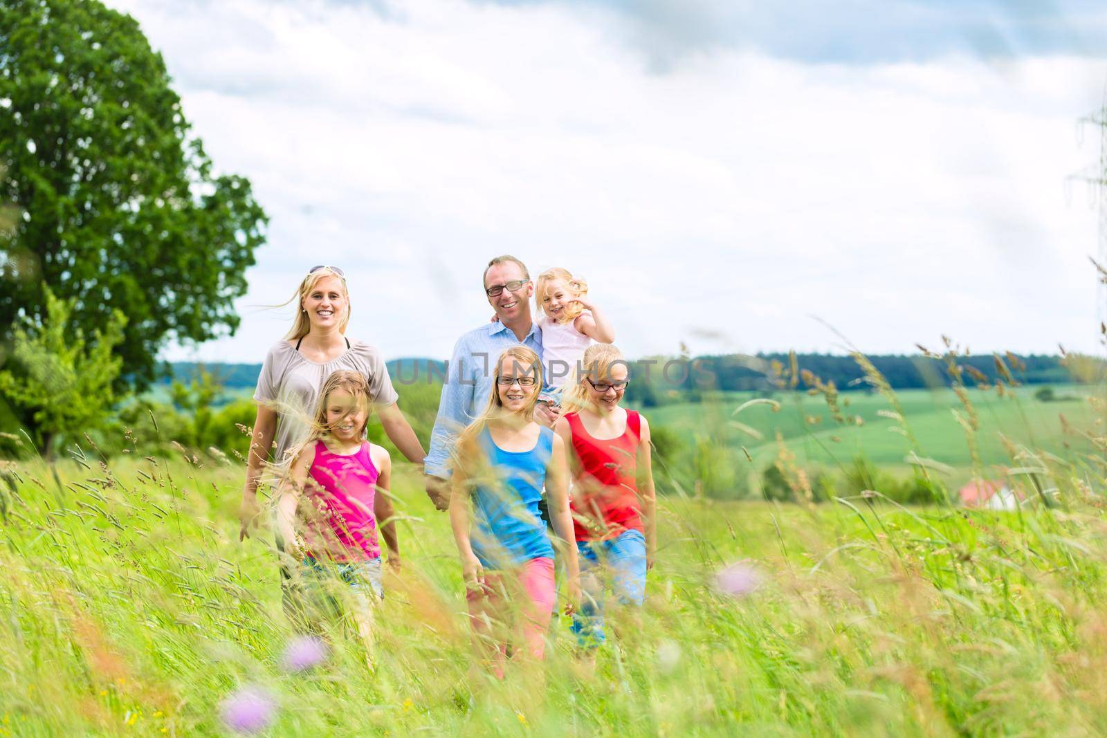 Happy Family with girls or daughters walking in a meadow in summer
