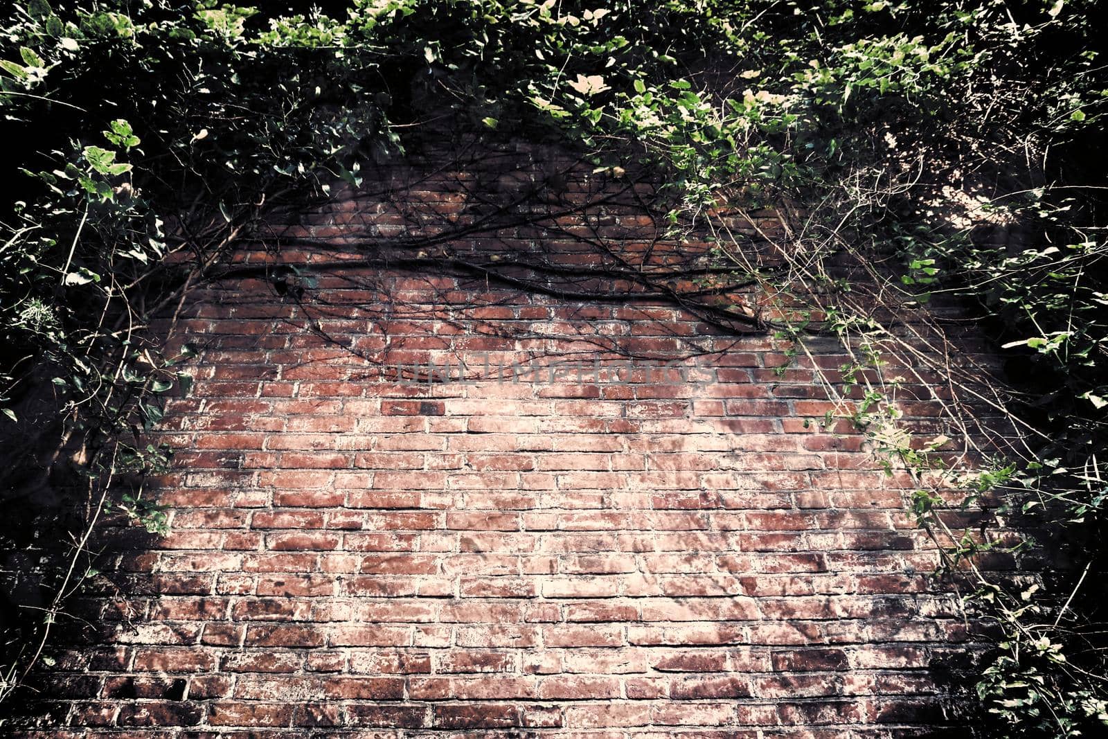 Aged and weathered old brick wall texture in a retro vintage design  by MP_foto71