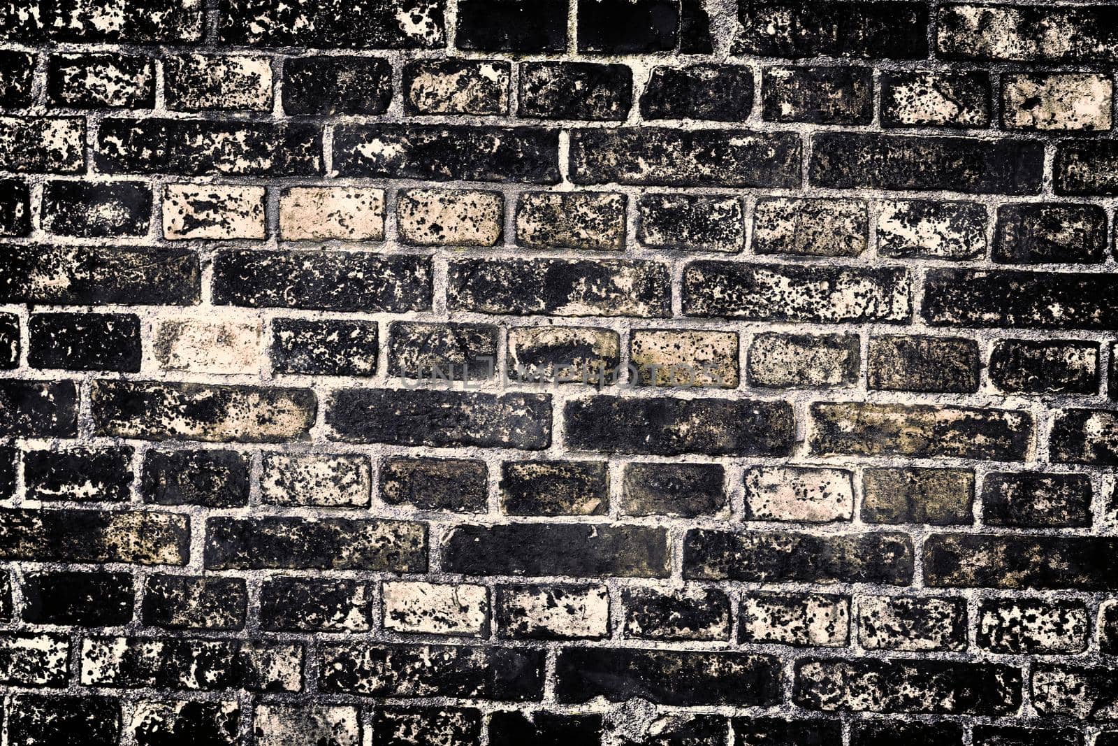 Aged and weathered old brick wall texture in a retro vintage design  by MP_foto71