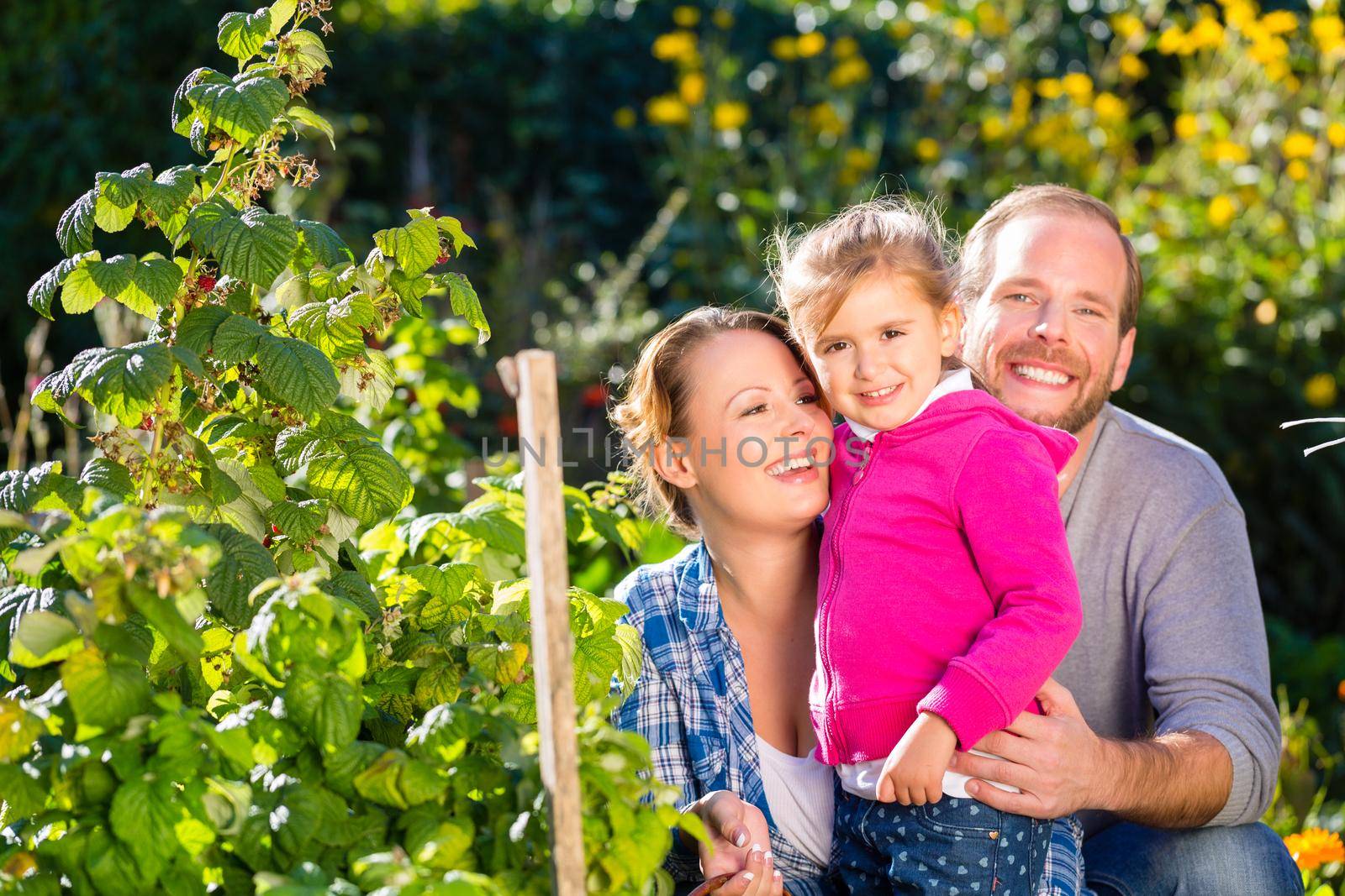 Mother, father and daughter in garden with basket