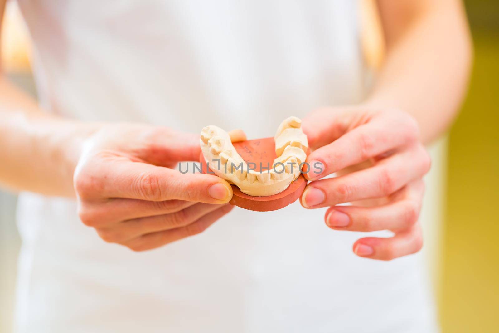 Female dentist or dental technician checking denture with imprint