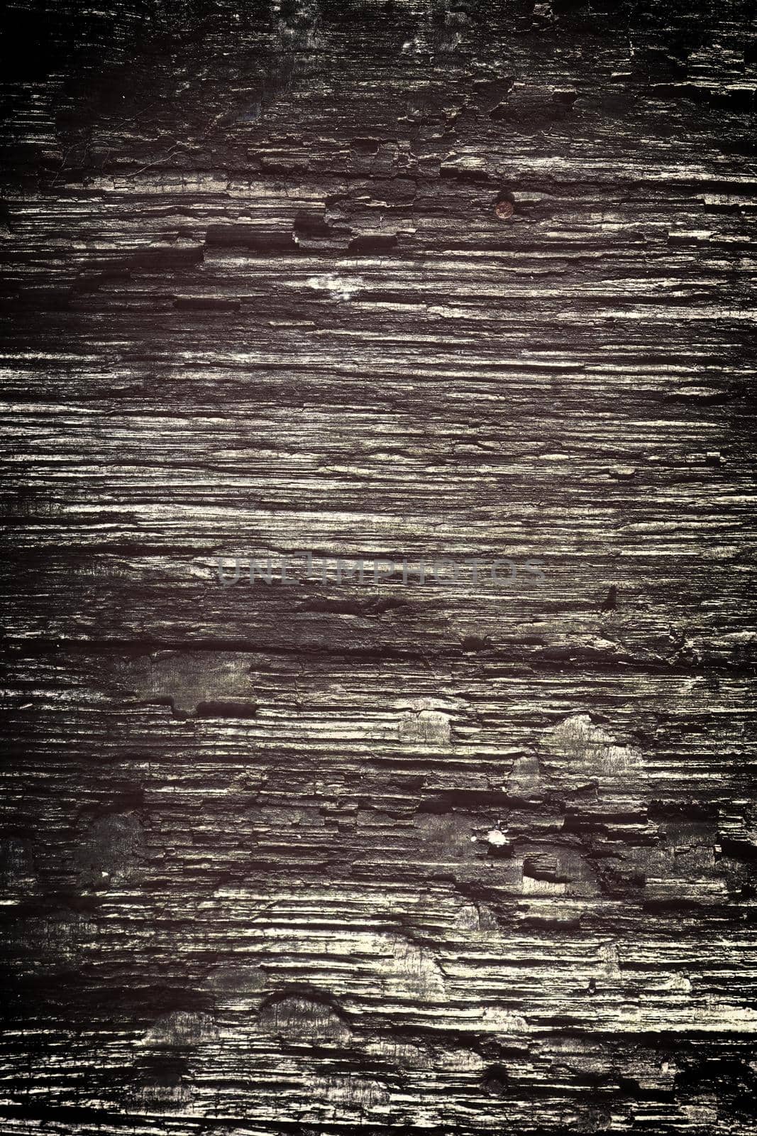 Vintage woorden background, copy space. Wooden plank texture, text place template