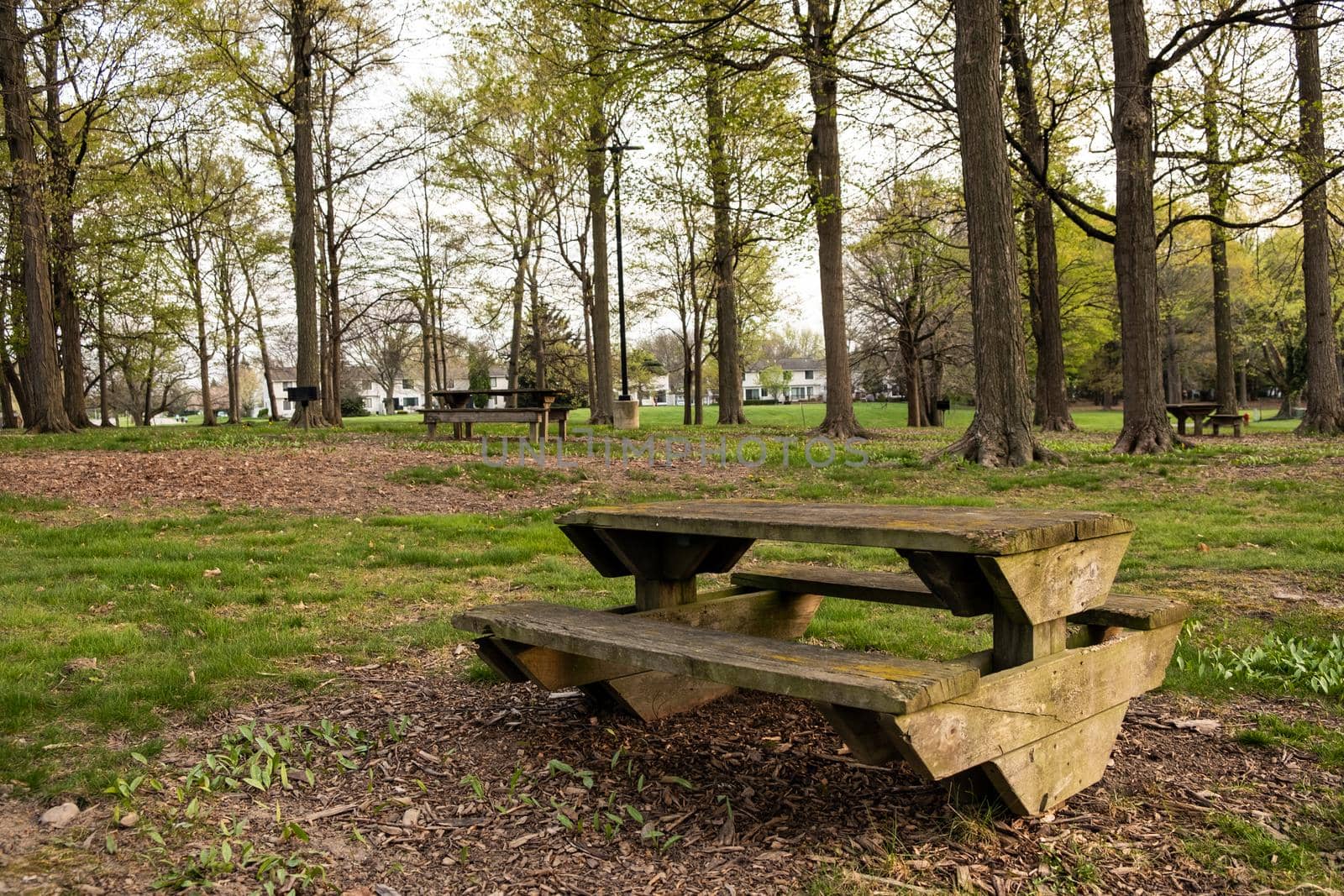 A picnic table with gorgeous view at public park during summer