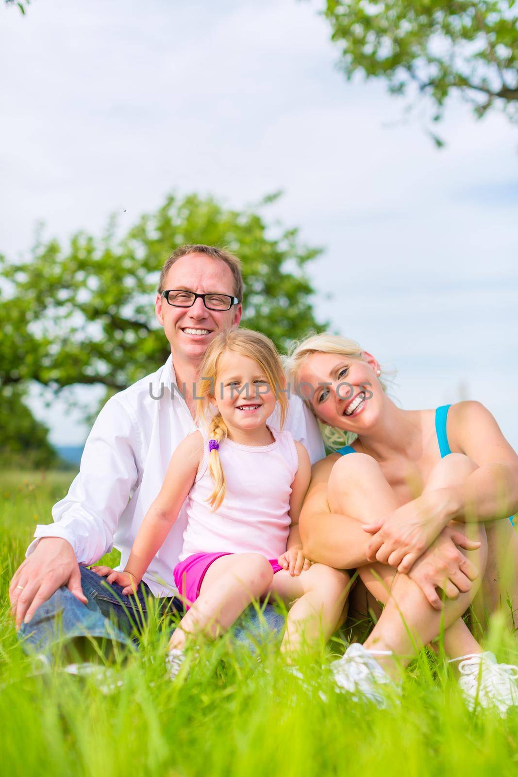 Parents and daughter sitting on grass of lawn or field