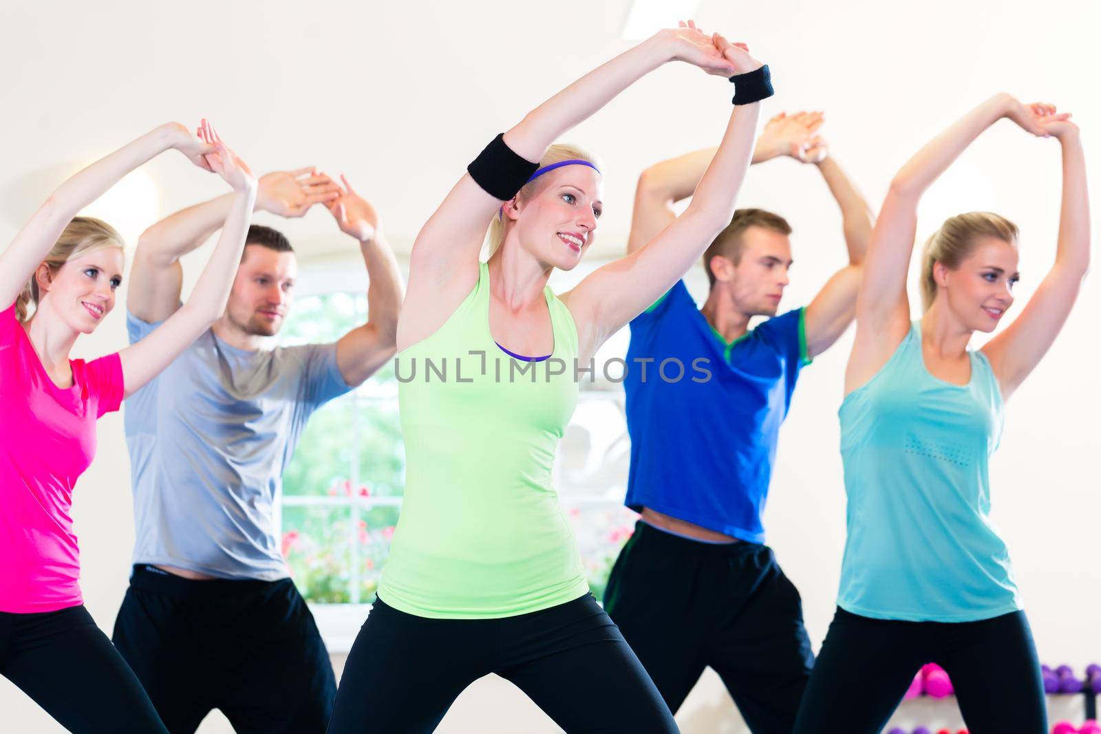Group of fitness people in gym at aerobics