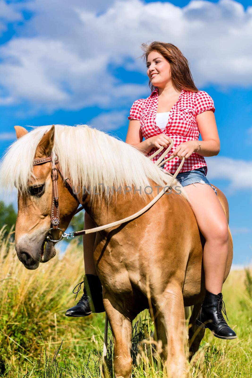 Woman riding on horse in summer meadow by Kzenon