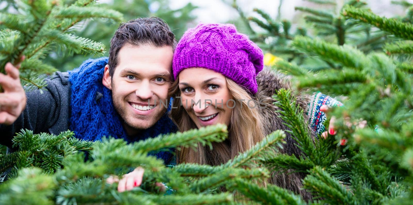 Couple having fun at the Christmas tree sale by Kzenon