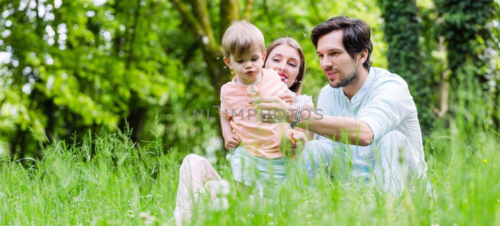 Family with son on meadow blowing dandelion seed by Kzenon