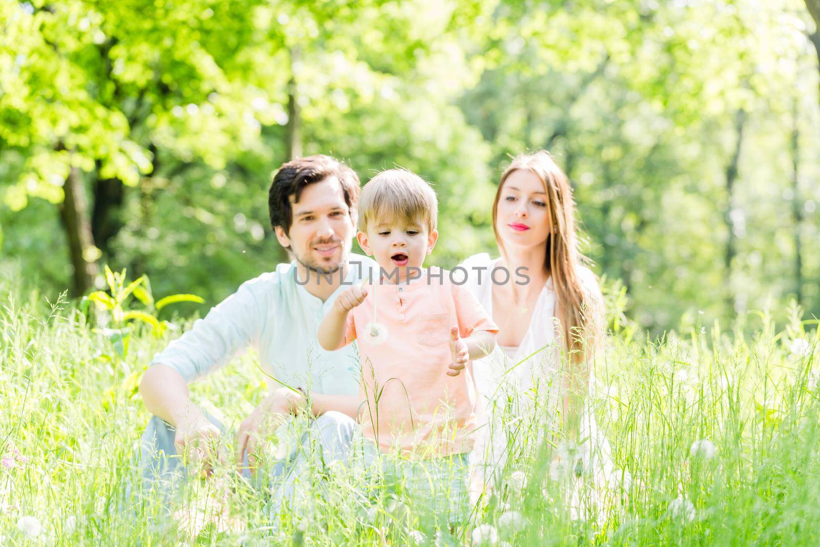 Boy running and playing on meadow with the family