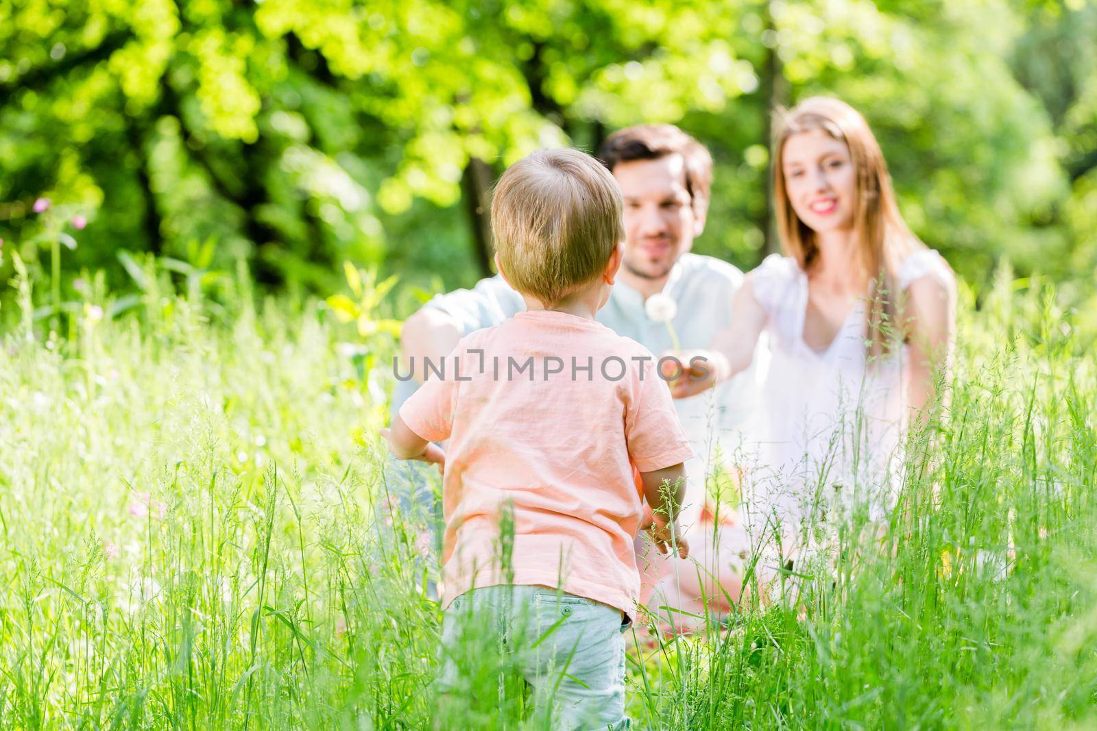 Boy running and playing on meadow with the family