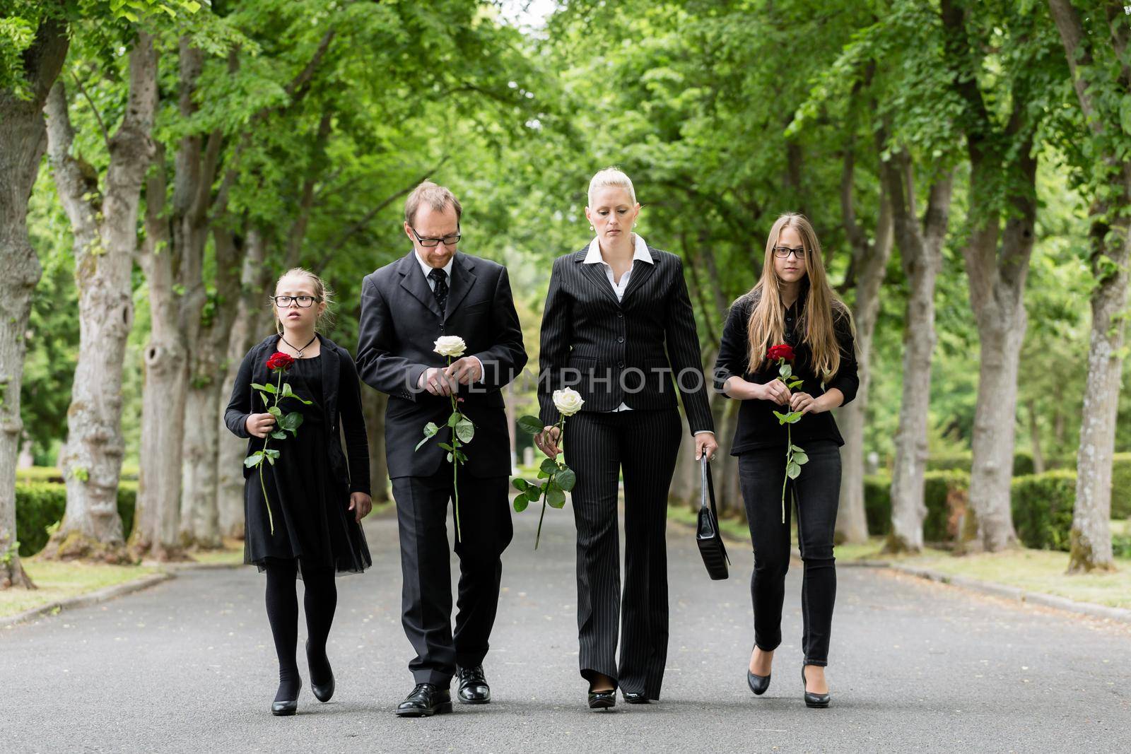 Family on cemetery walking down alley at graveyard with roses