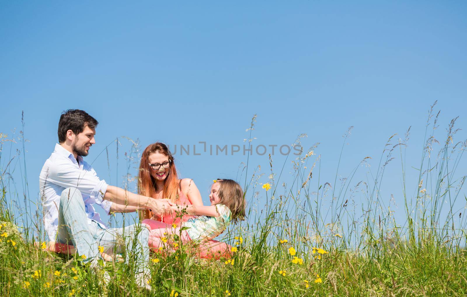 Family holding hands in summer in the grass