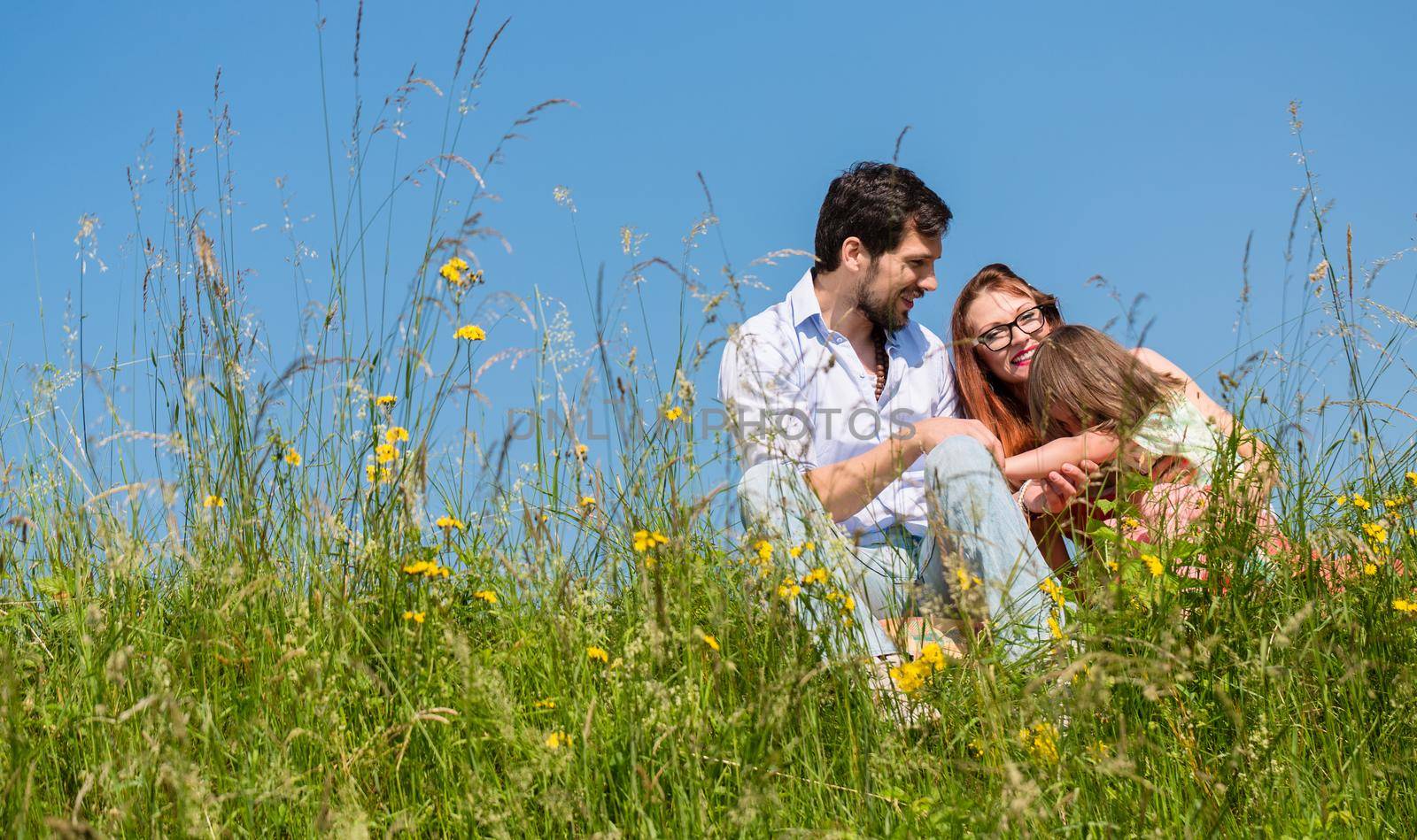 Family cuddling sitting at meadow on a summer day with blue sky