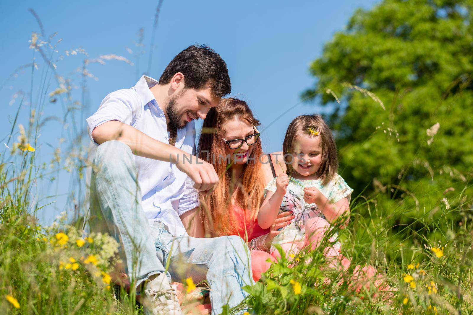 Family playing with wildflowers on meadow sitting in the grass