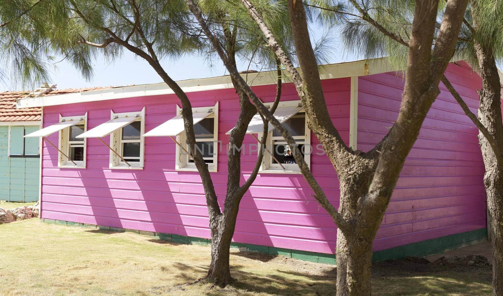 Little Muizenberg Beach Huts, A small pink hut with four windows near a beach