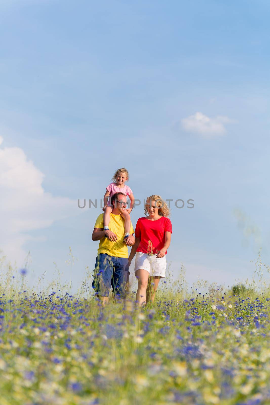 Family having walk on meadow with flowers, daddy is carrying his daughter piggyback