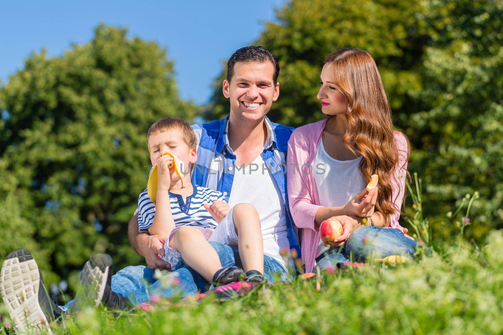 Family having picnic sitting in grass on meadow