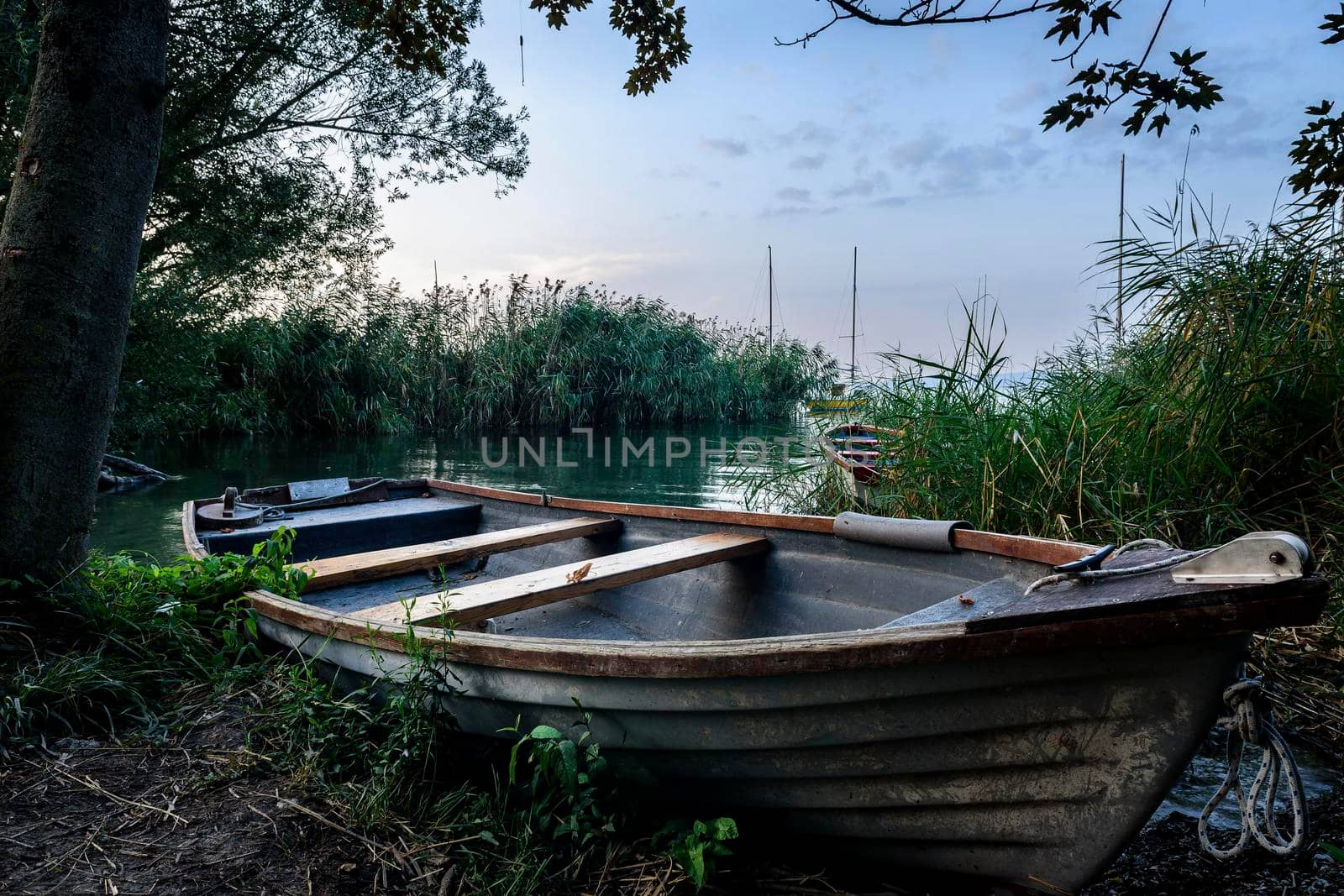 A boat on the lake parked near a tree A dirty boat is parked next to a wooden pier on a quiet lake