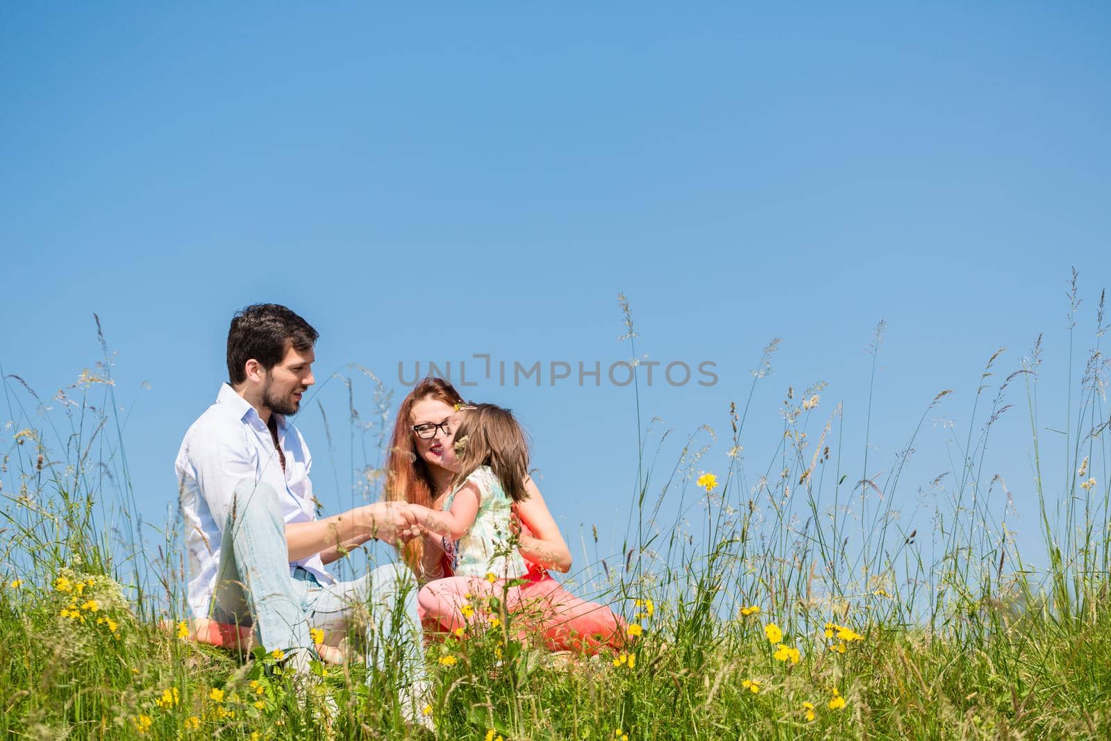 Family holding hands in summer in the grass