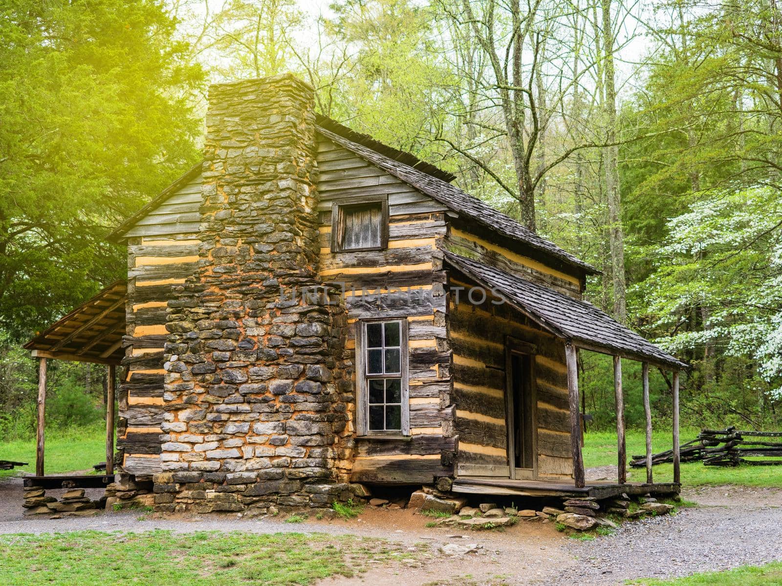 A lonely little cabin in the woods, lonely little log cabin in the green forest by isaiphoto