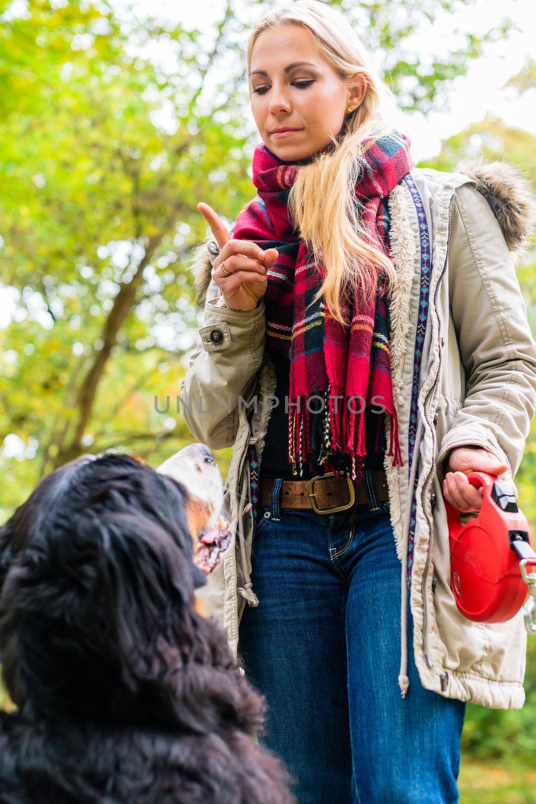 Girl in autumn park training her dog in obedience giving the sit command