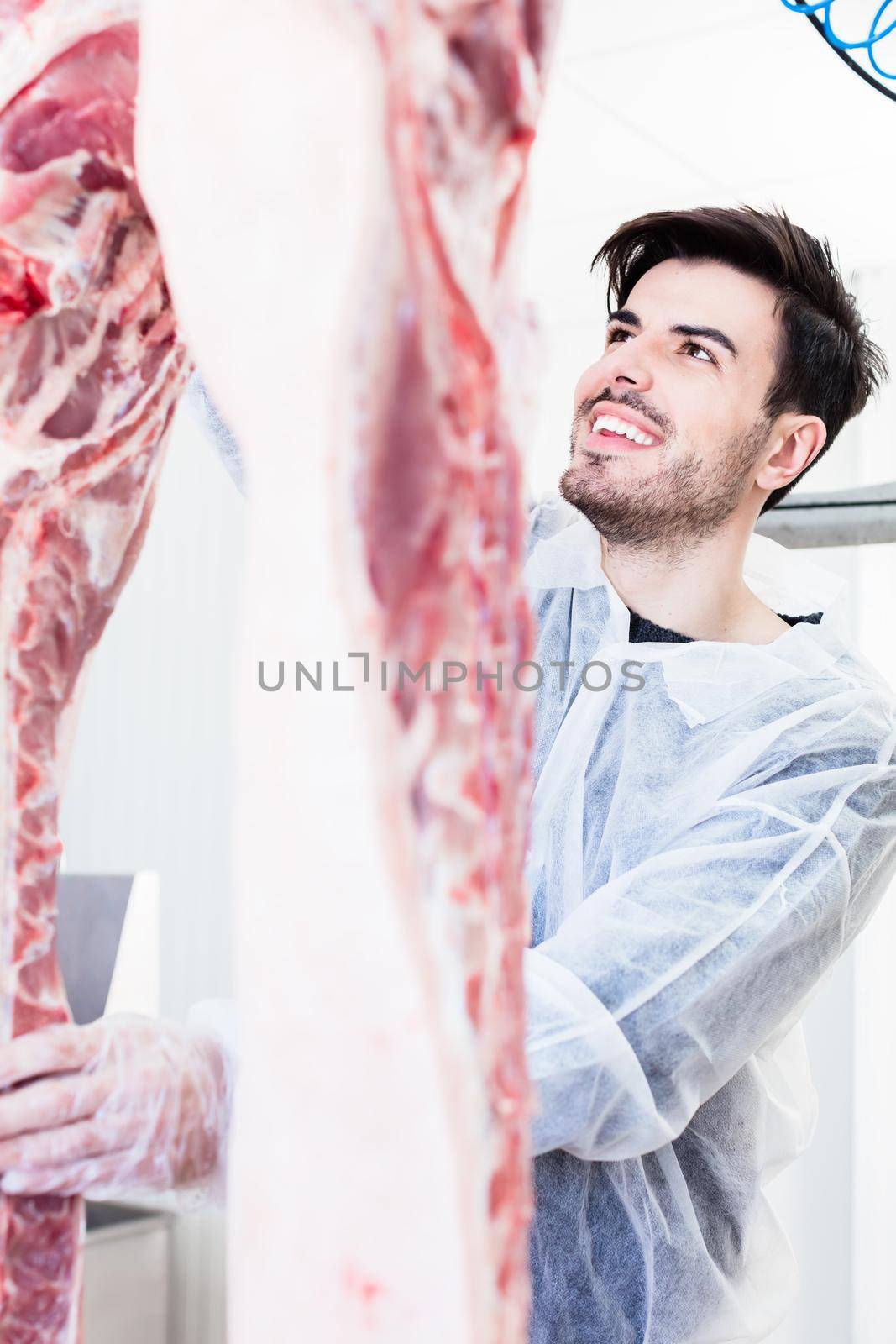 Butcher cutting pork in butchery working very concentrated
