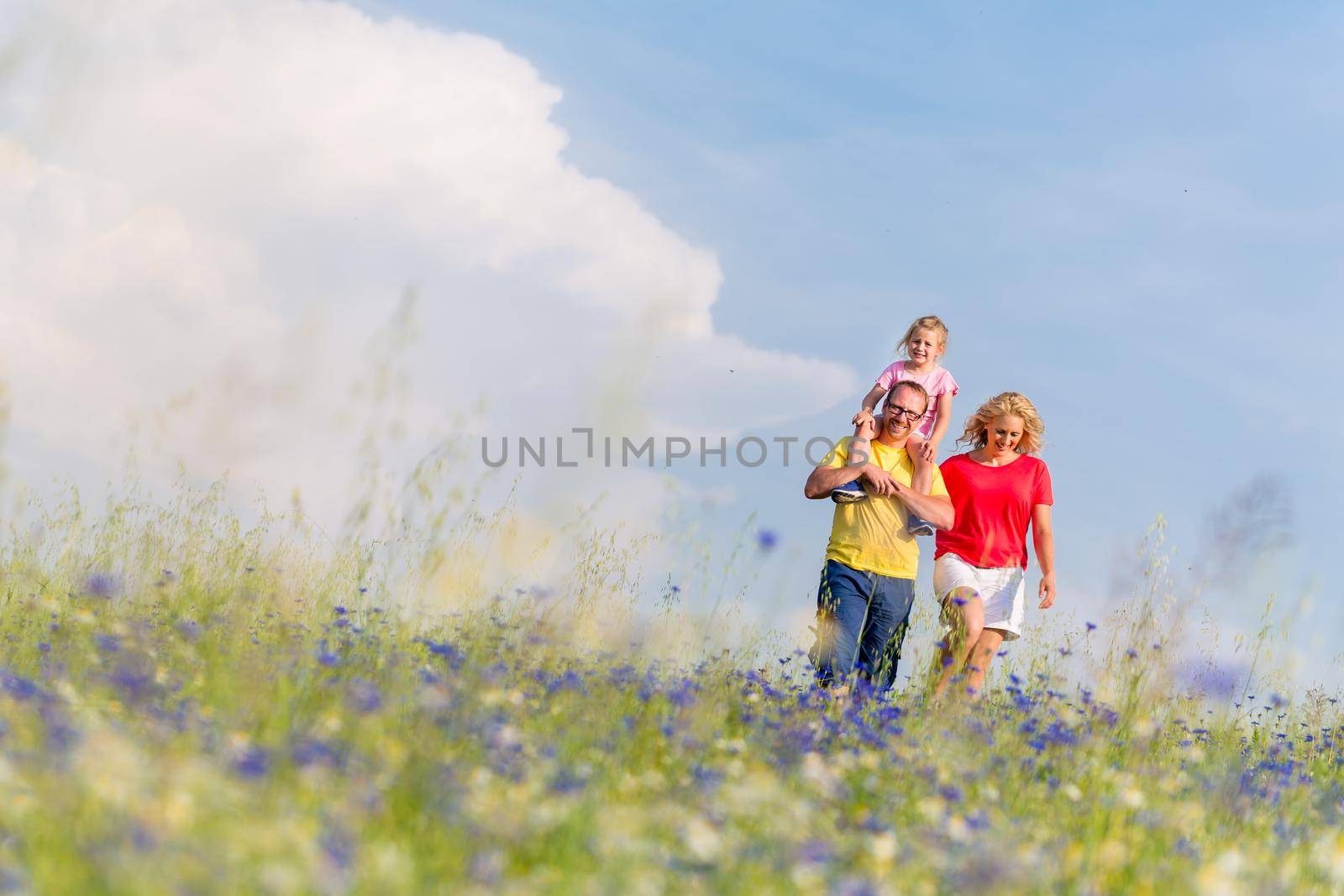 Family having walk on meadow with flowers, daddy is carrying his daughter piggyback