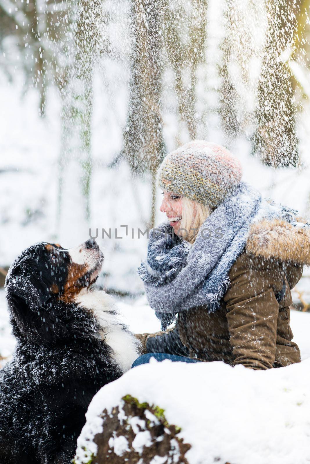 Woman walking her dog in the winter and both explore the snow to by Kzenon