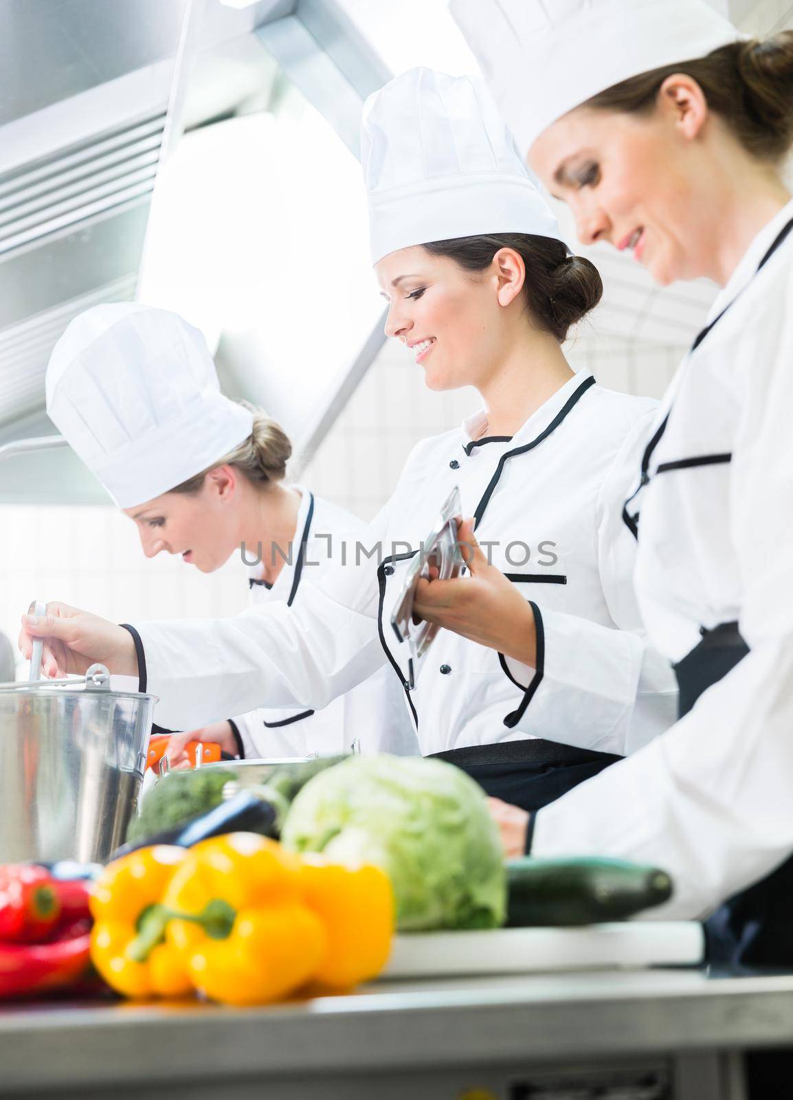 chefs preparing meals in commercial kitchen by Kzenon