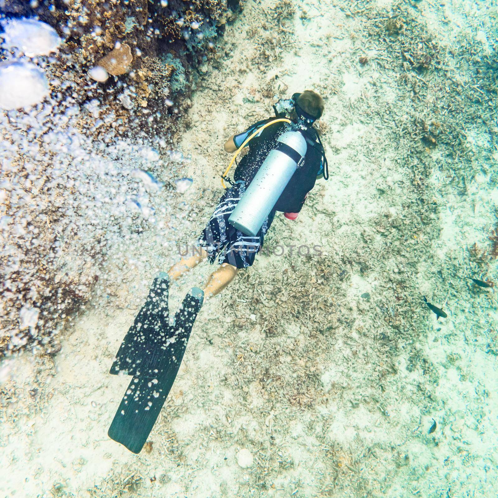 Air bubbles emerging from diver at beautiful coral reef under water