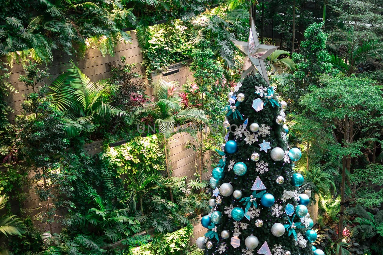 Very tall and colorful christmas tree with green nature background.
