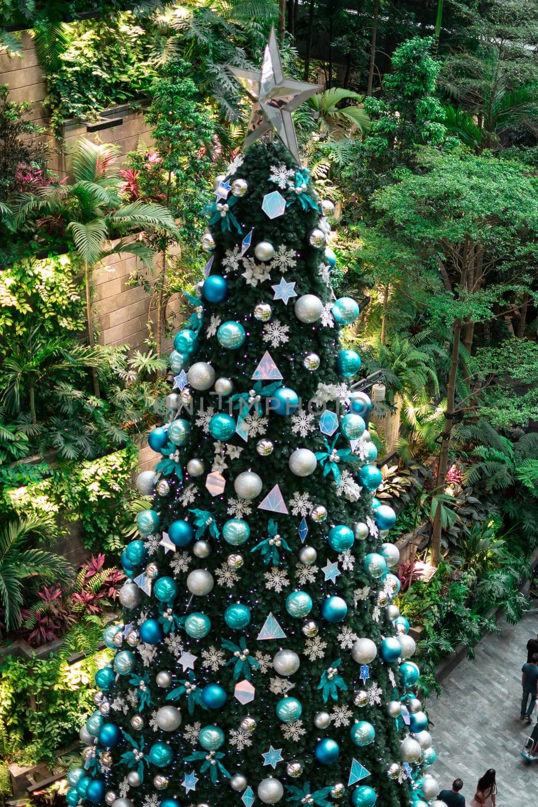 Very tall and colorful christmas tree with green nature background.