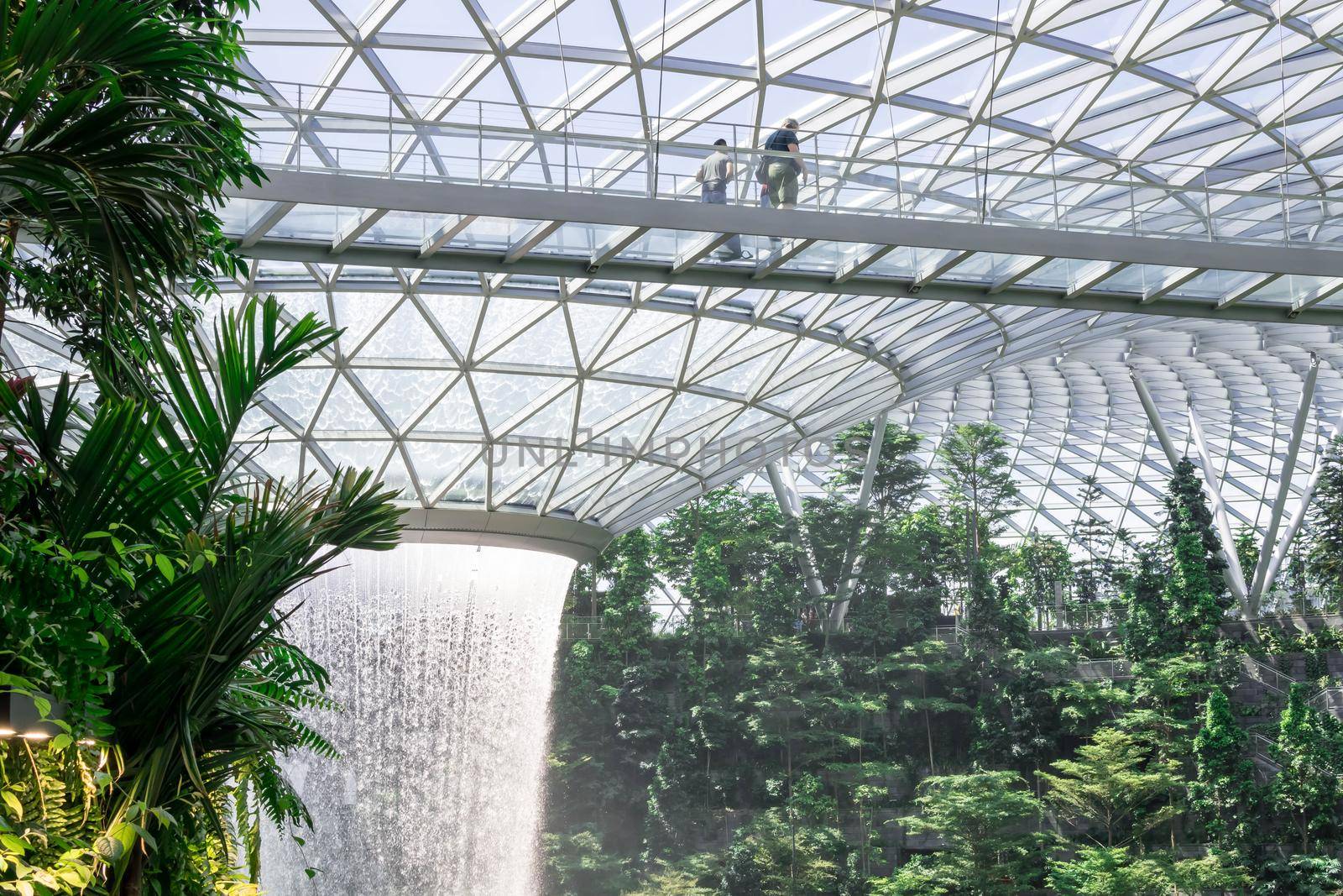 The Giant water fall HSBC Rain Vortex and beautiful green nature Shiseido Forest Valley in the Jewel Changi Airport, link to terminal Changi international Airport in Singapore; Singapore, 28 Dec 2019