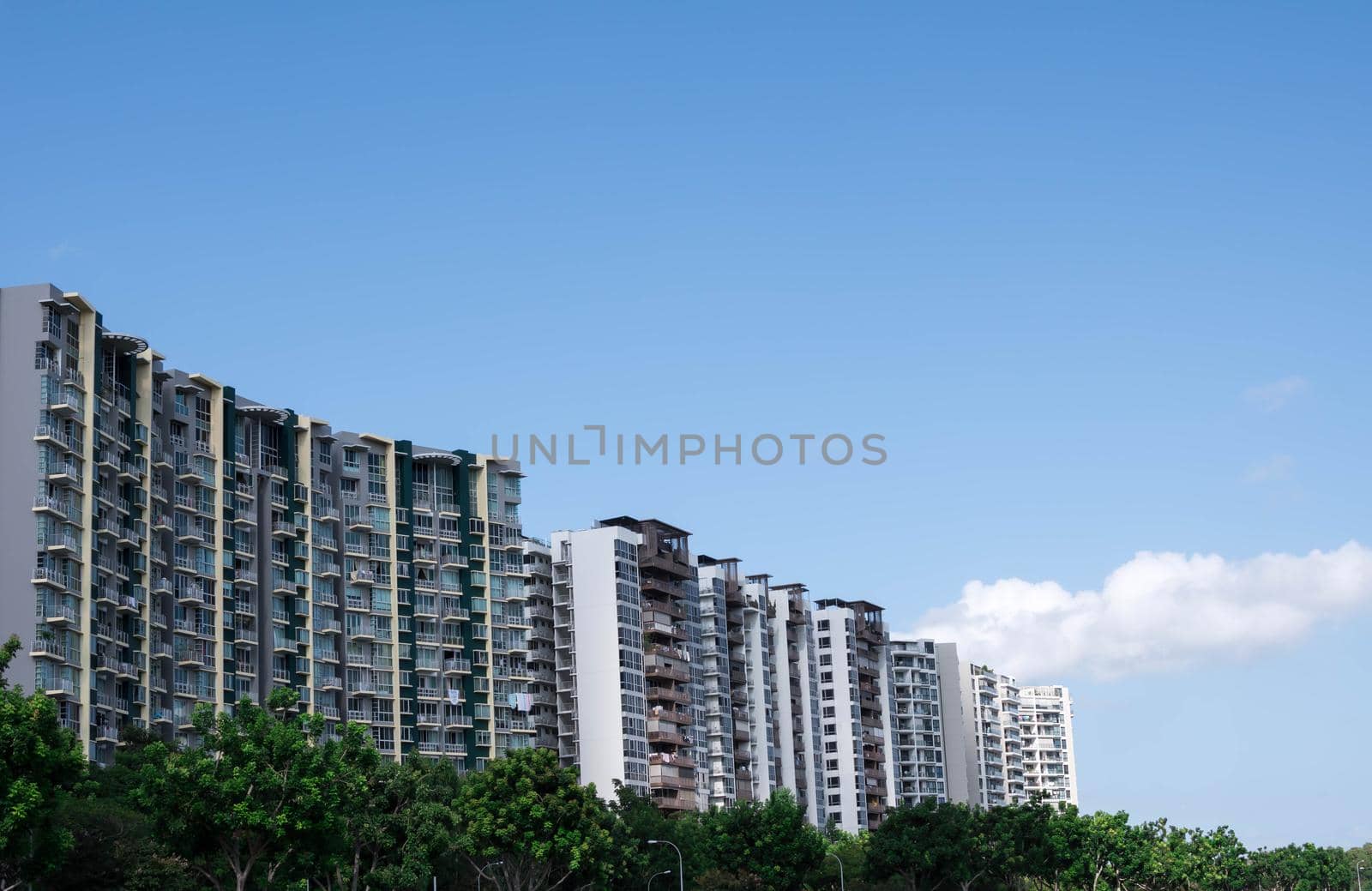 residential condominiums near a lake or river with green park ad trees