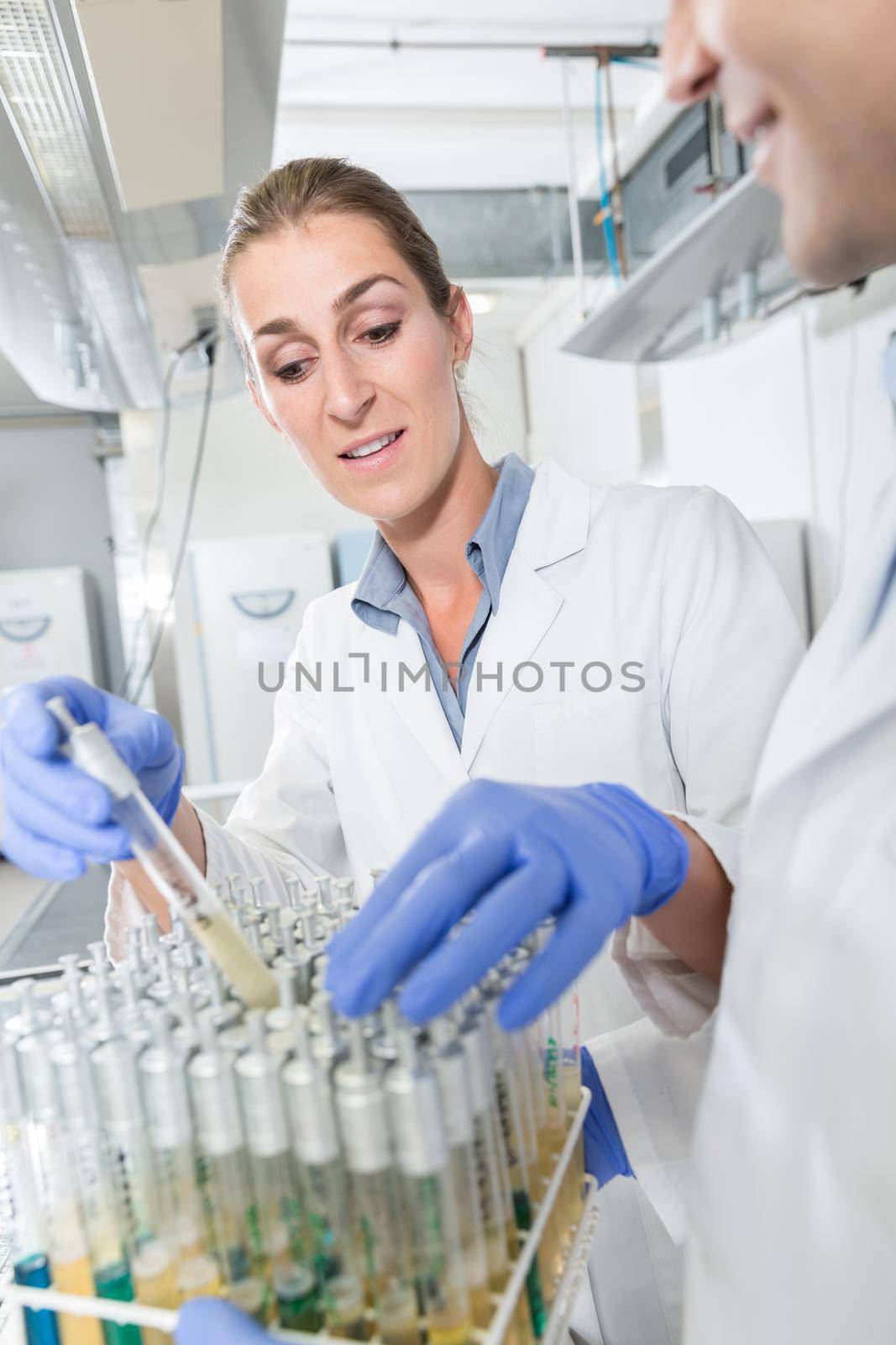 Scientist arrange samples for test in research lab
