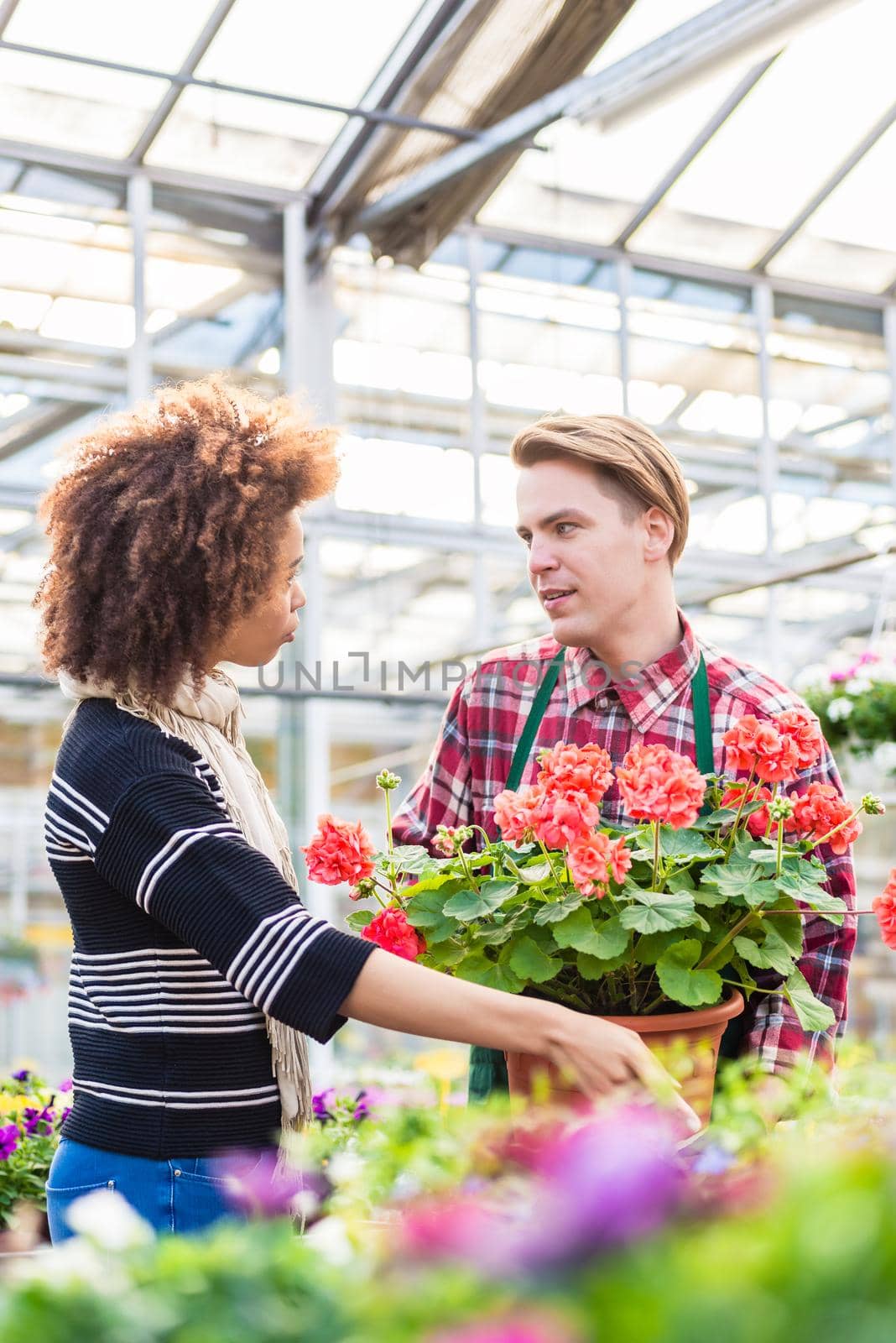 Beautiful woman buying a red pelargonium at the advice of a florist by Kzenon