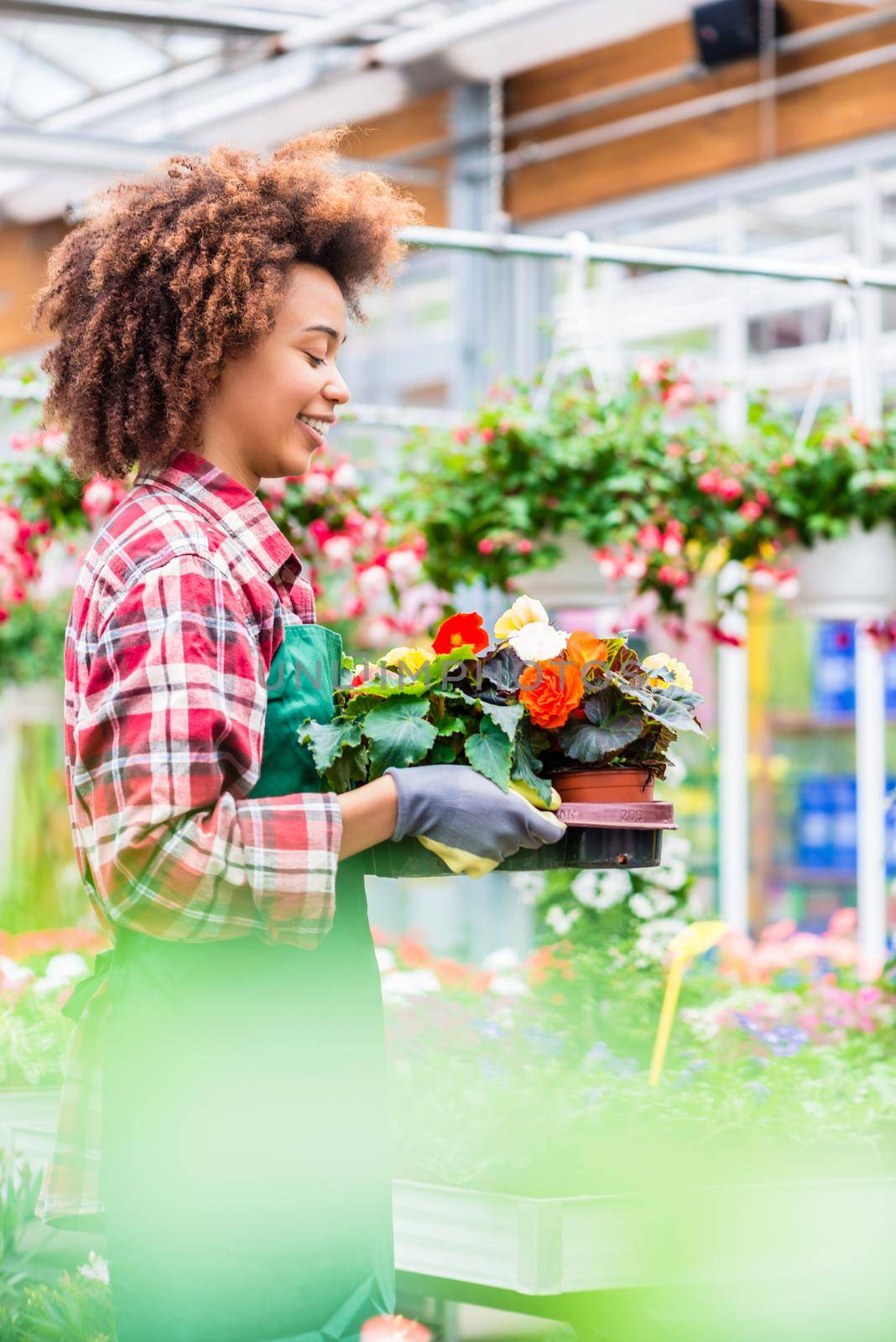 Side view of a dedicated florist holding a tray with decorative flowers by Kzenon