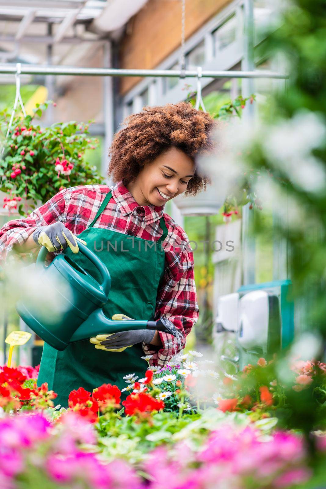 Beautiful young woman watering various potted houseplants by Kzenon