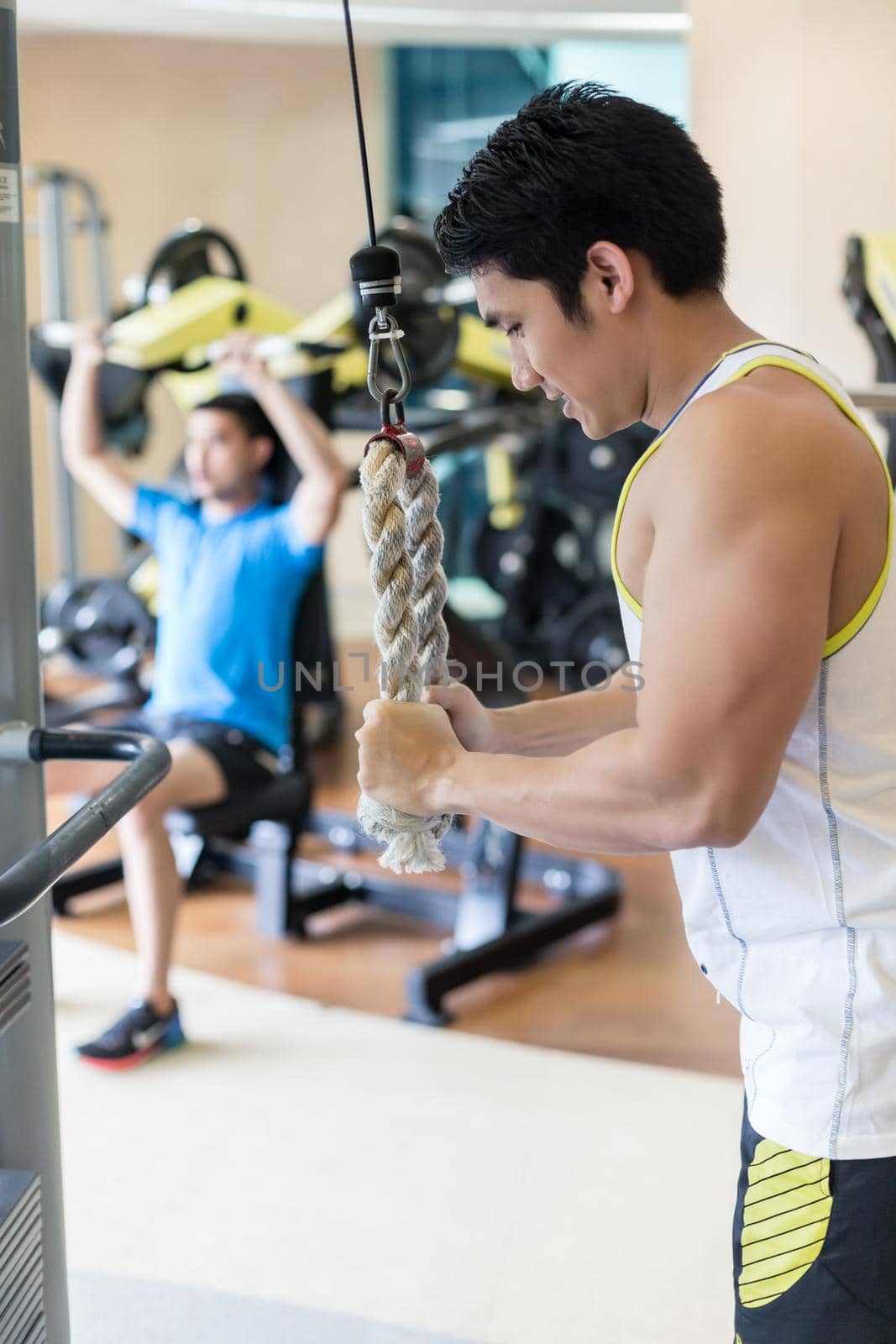 Side view of a strong young man exercising triceps pushdown at the rope cable machine in a fitness club with modern equipment