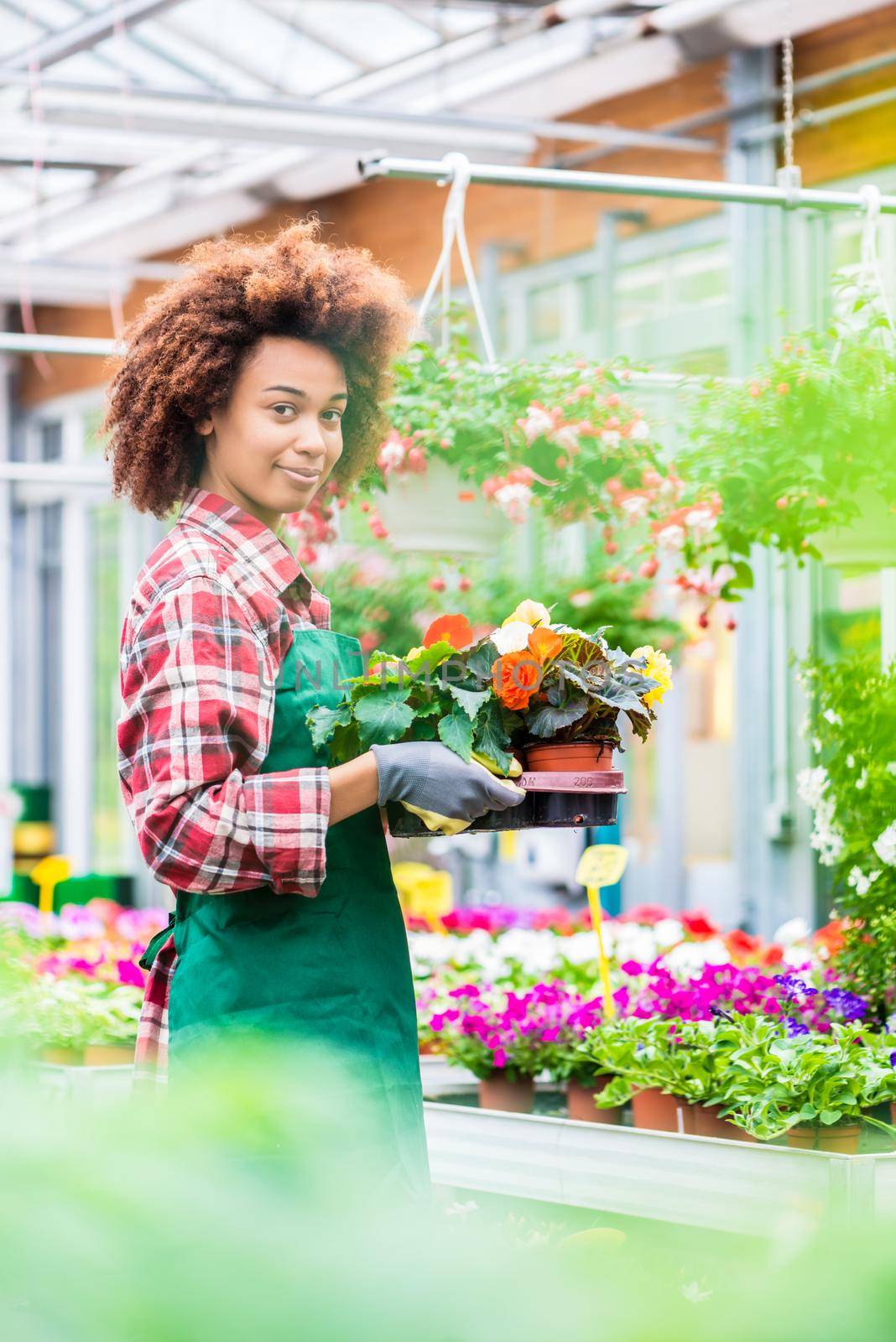 Side view of a dedicated florist holding a tray with decorative potted flowers by Kzenon