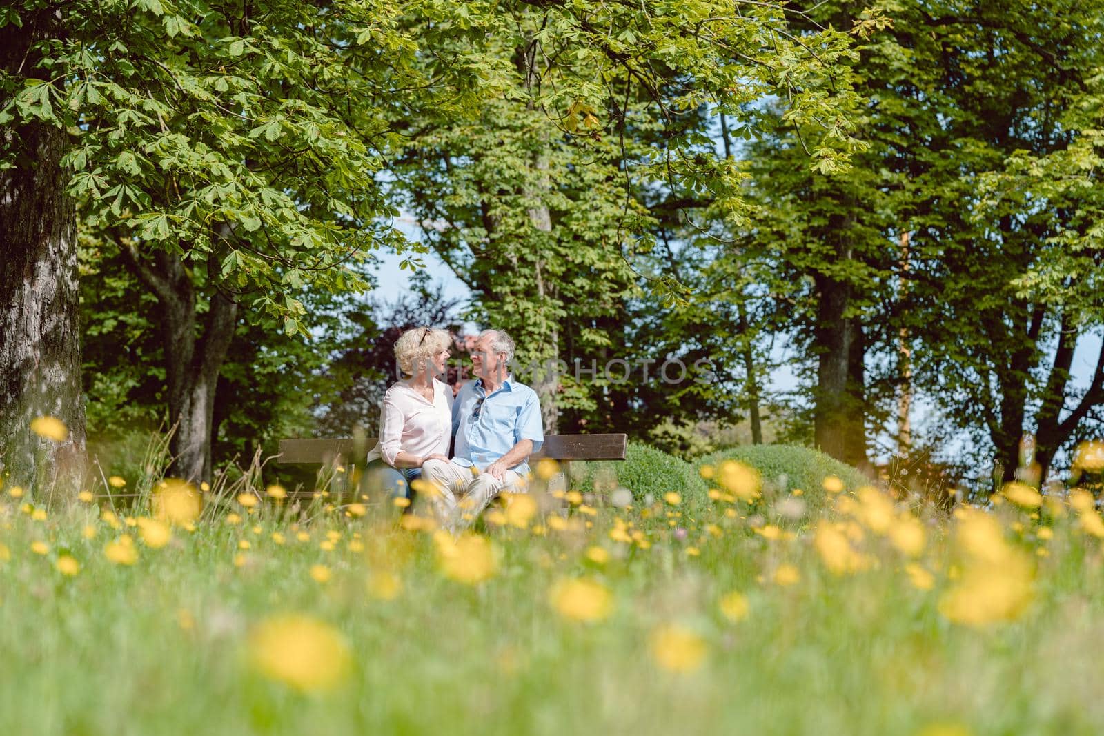 Romantic senior couple in love sitting together on a bench while dating outdoors in an idyllic park in summer