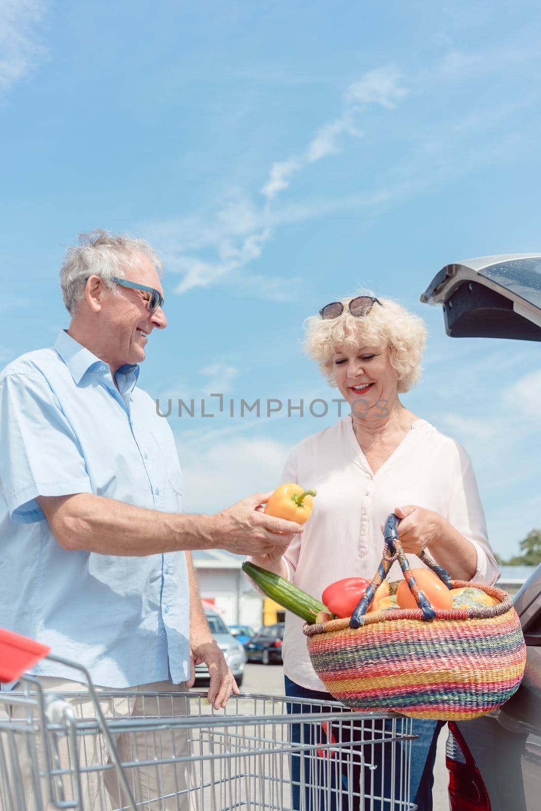 Low-angle view portrait of an active senior man holding a shopping cart while looking at his wife with love against blue sky