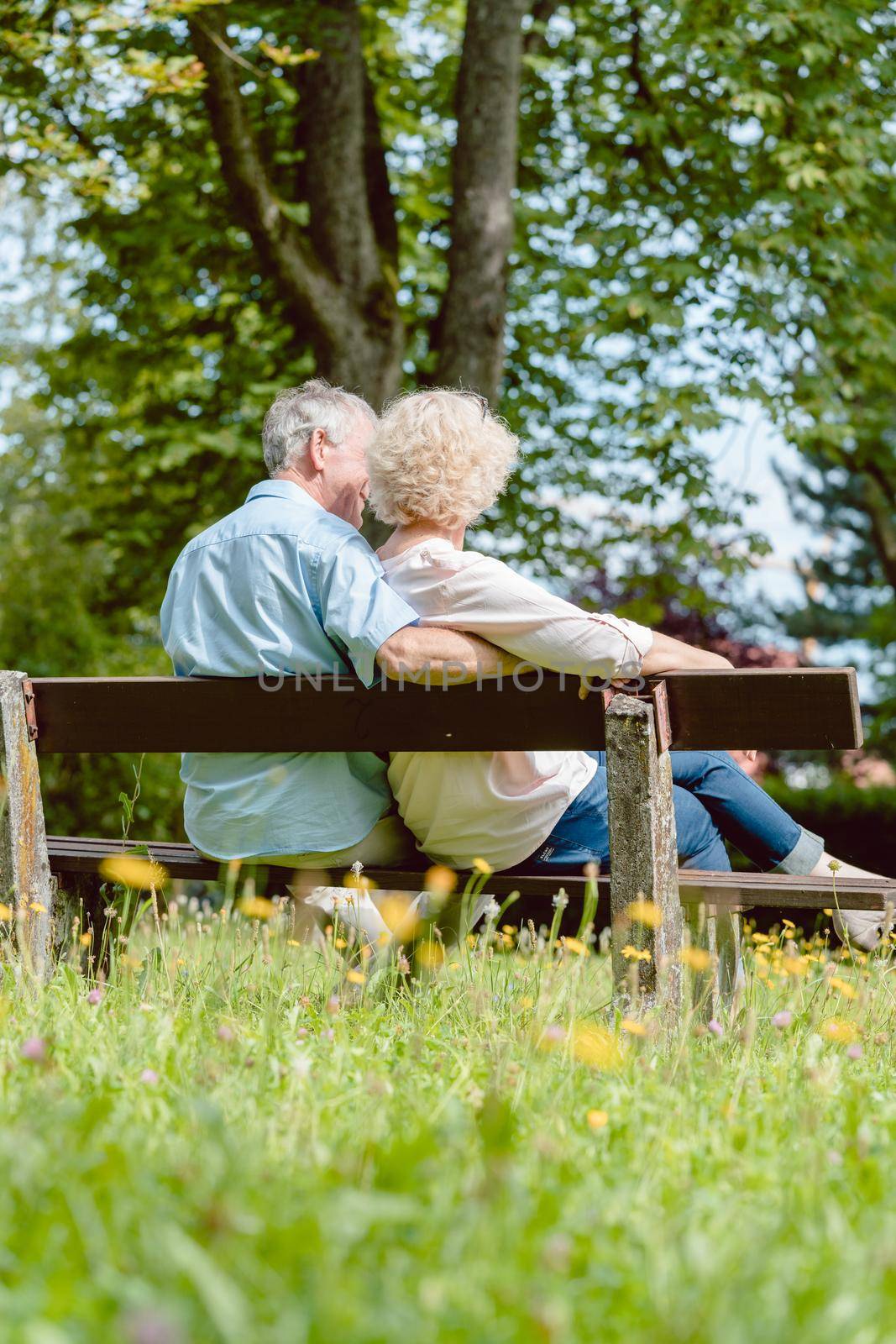 Rear view of a romantic elderly couple enjoying nature while sitting together on a bench in a tranquil day of summer in the park