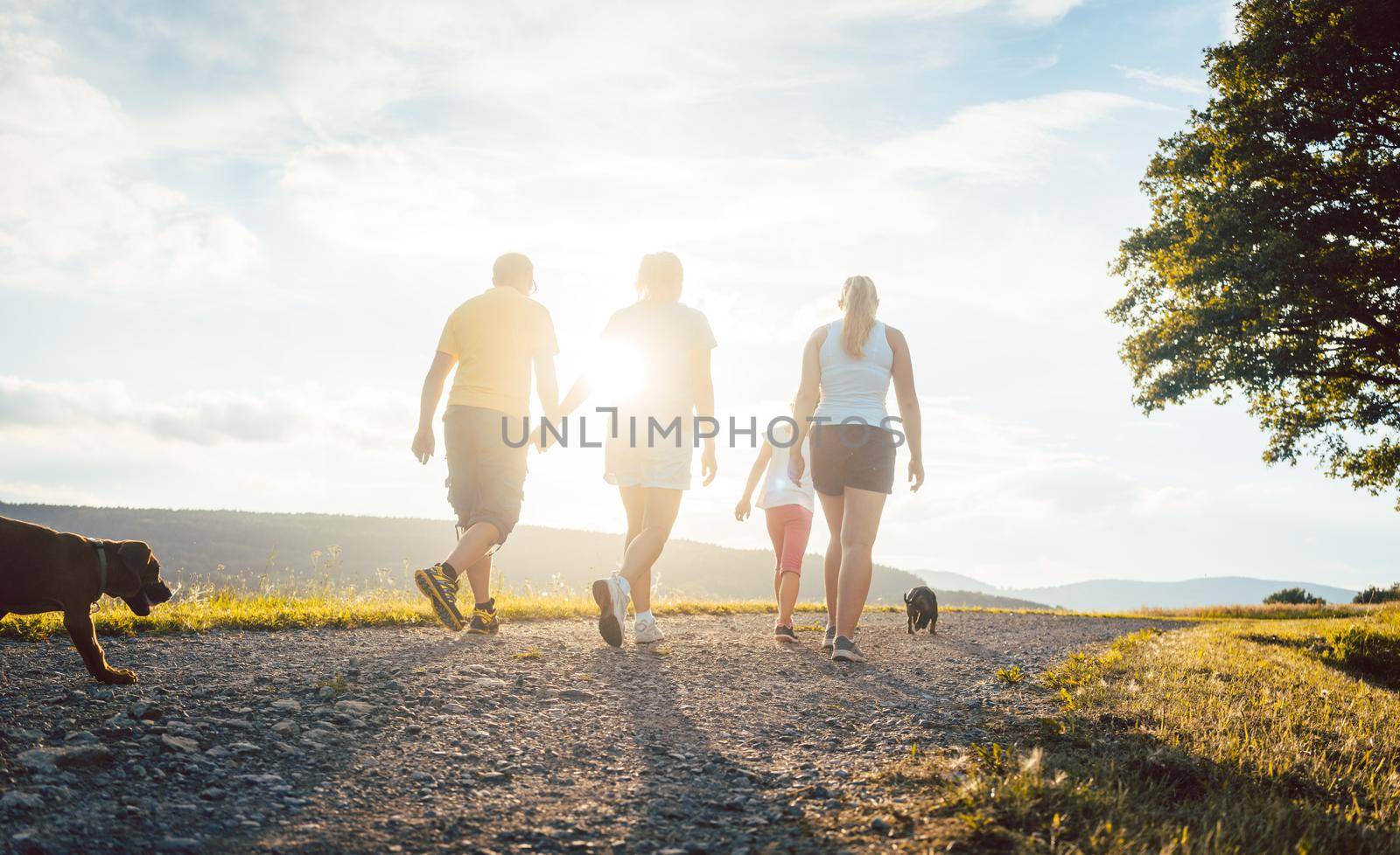 Family and dog walking home in a rural setting