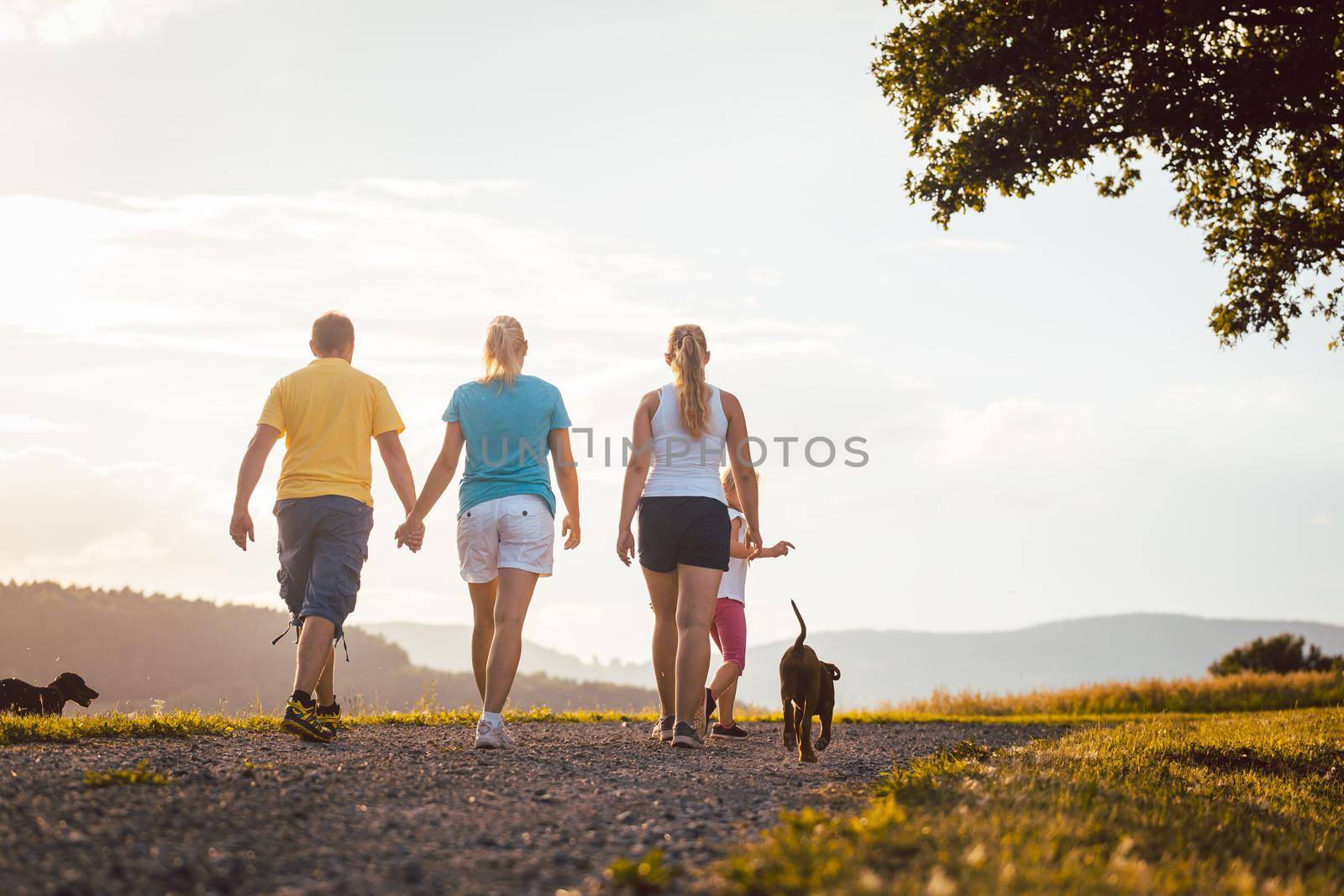 Family and dog walking home in a rural setting