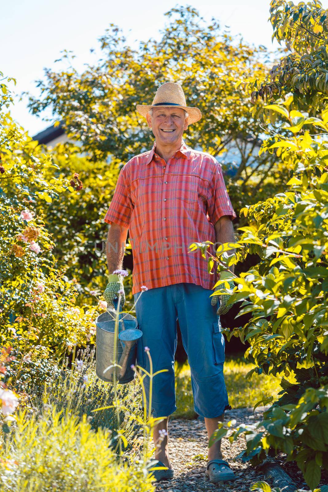 Active senior man with a healthy lifestyle smiling while watering plants in the garden in a tranquil day of summer